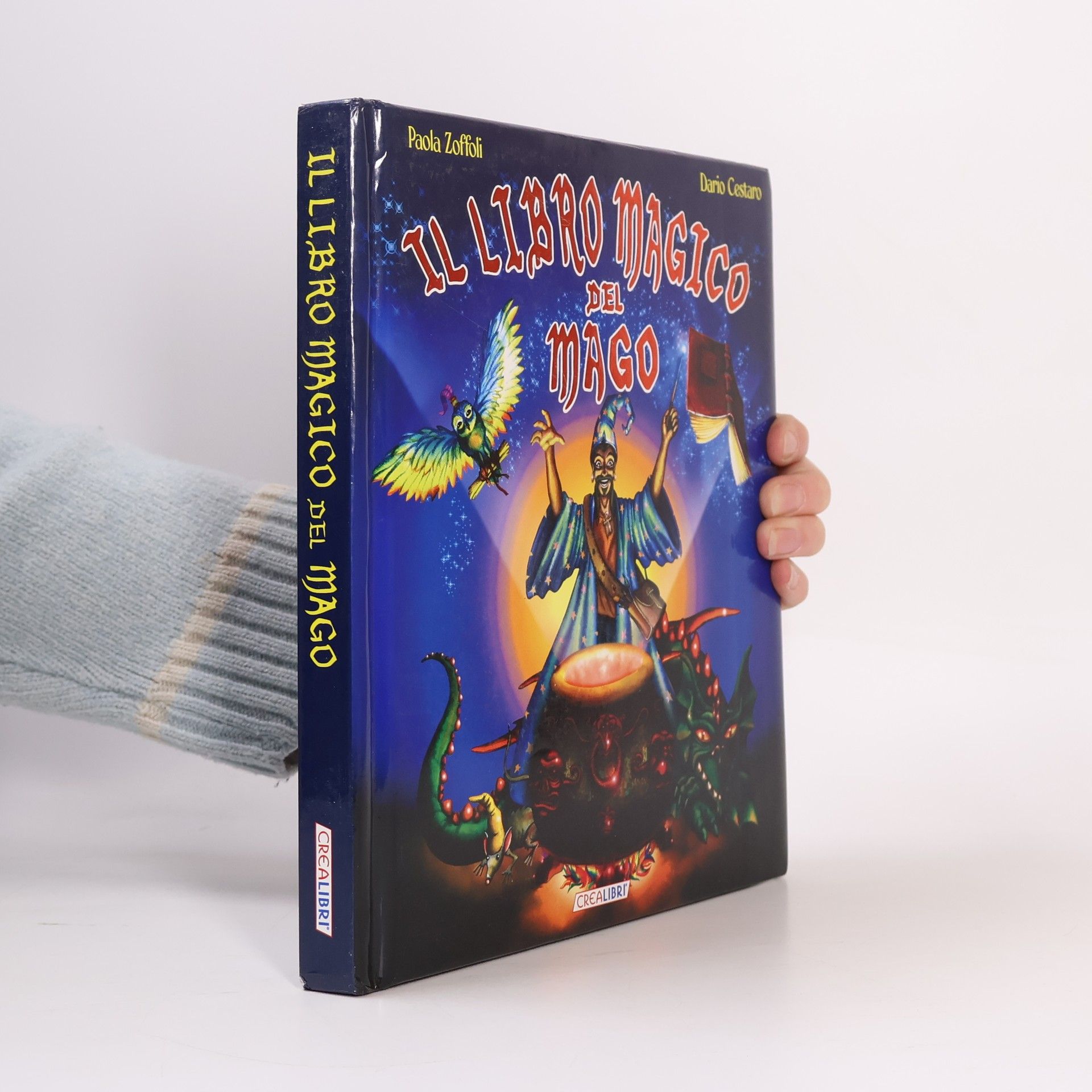 Il libro magico del mago