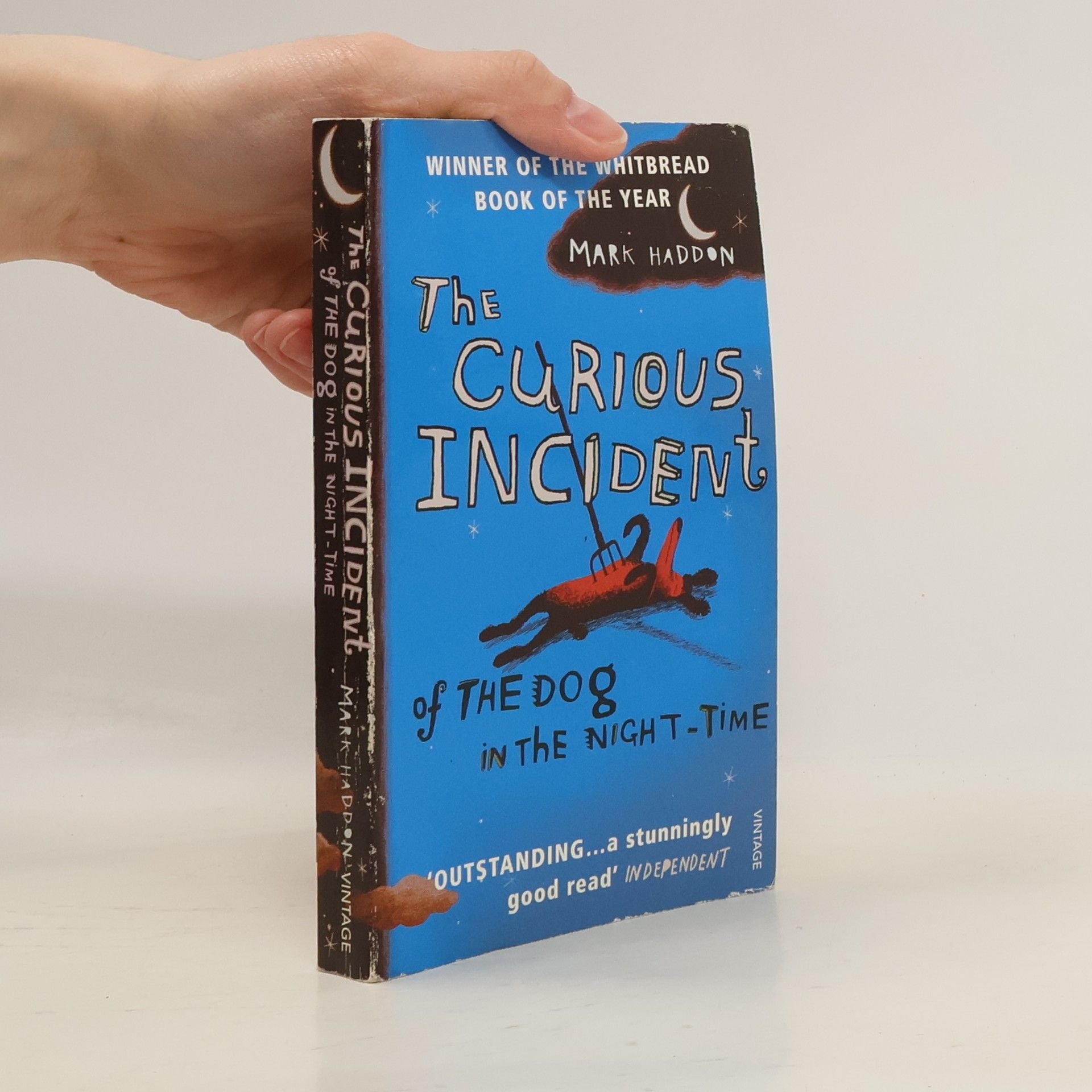 Mark Haddon The Curious Incident of The Dog in The Night-Time