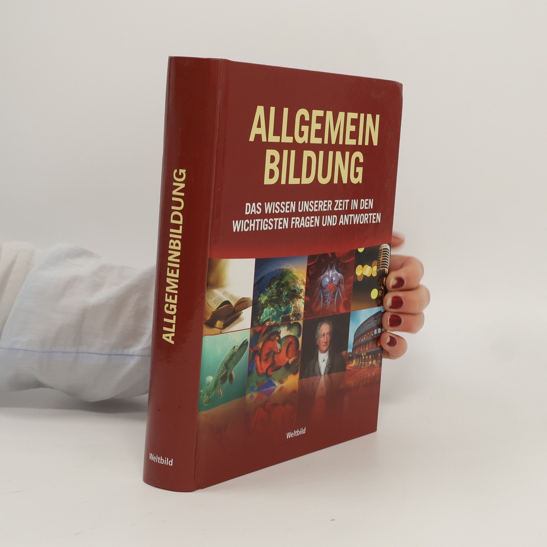 Tanja Böhm Allgemeinbildung