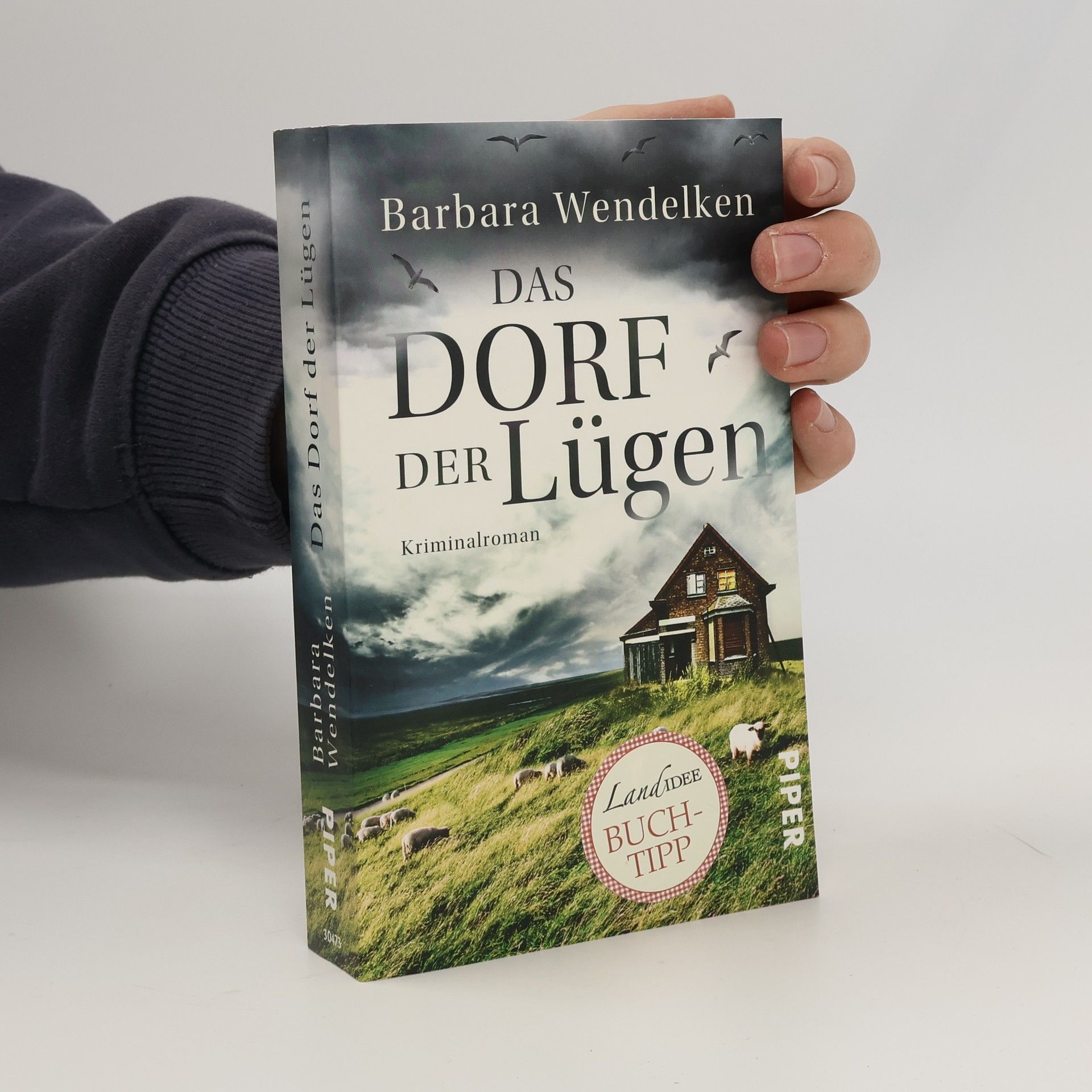 Barbara Wendelken Das Dorf der Lügen