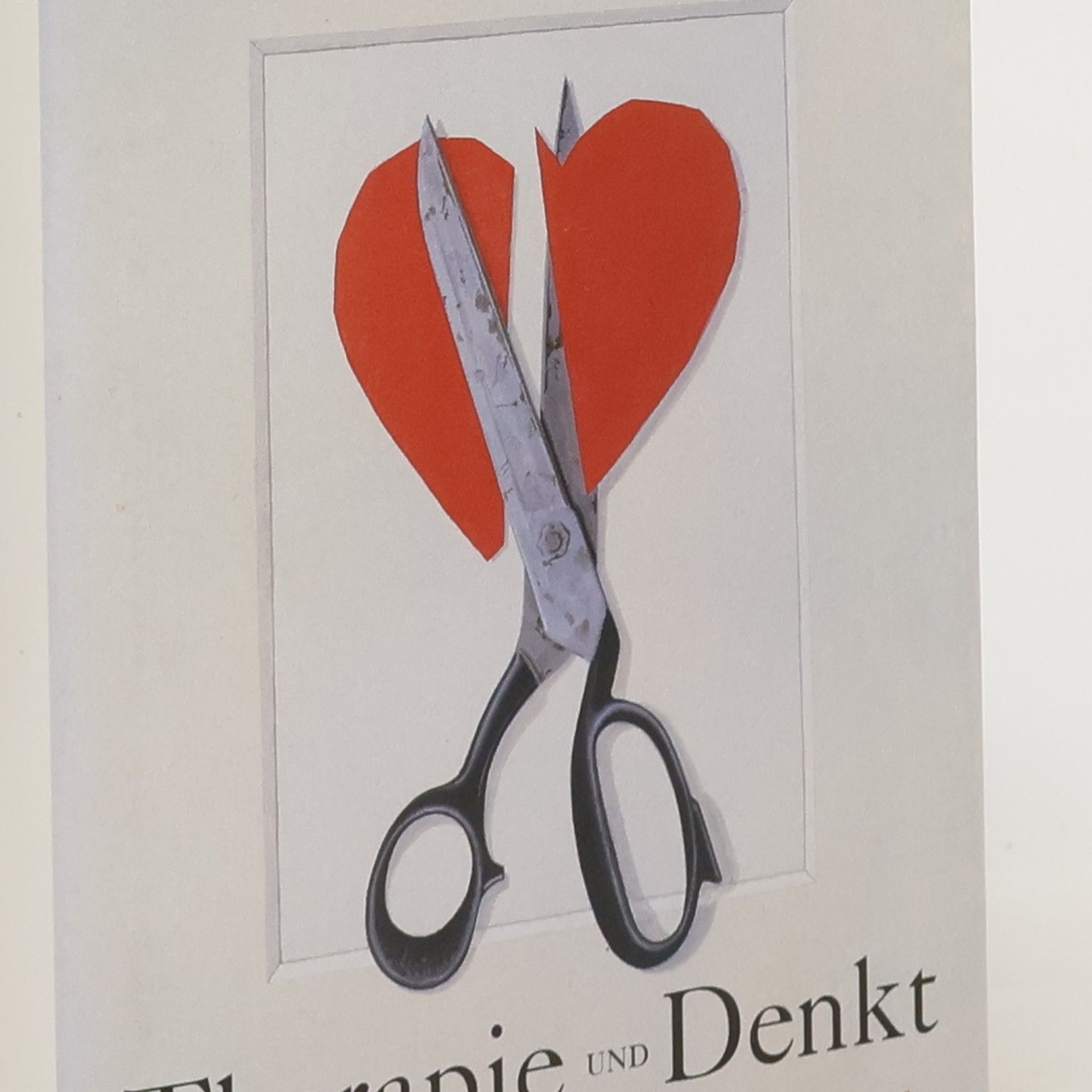 David Lodge Therapie und Denkt. Zwei Romane in einem Band