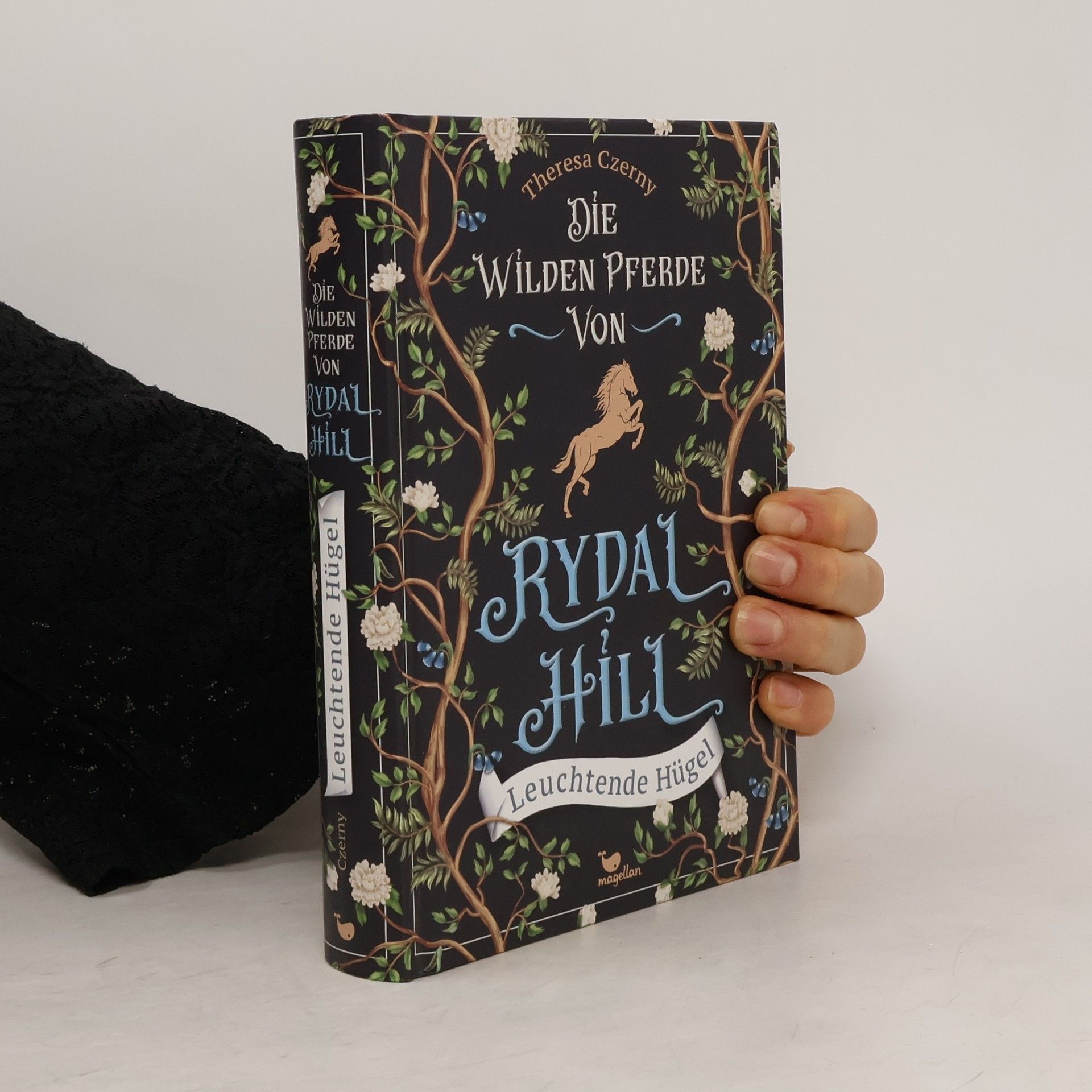 Theresa Czerny Leuchtende Hügel