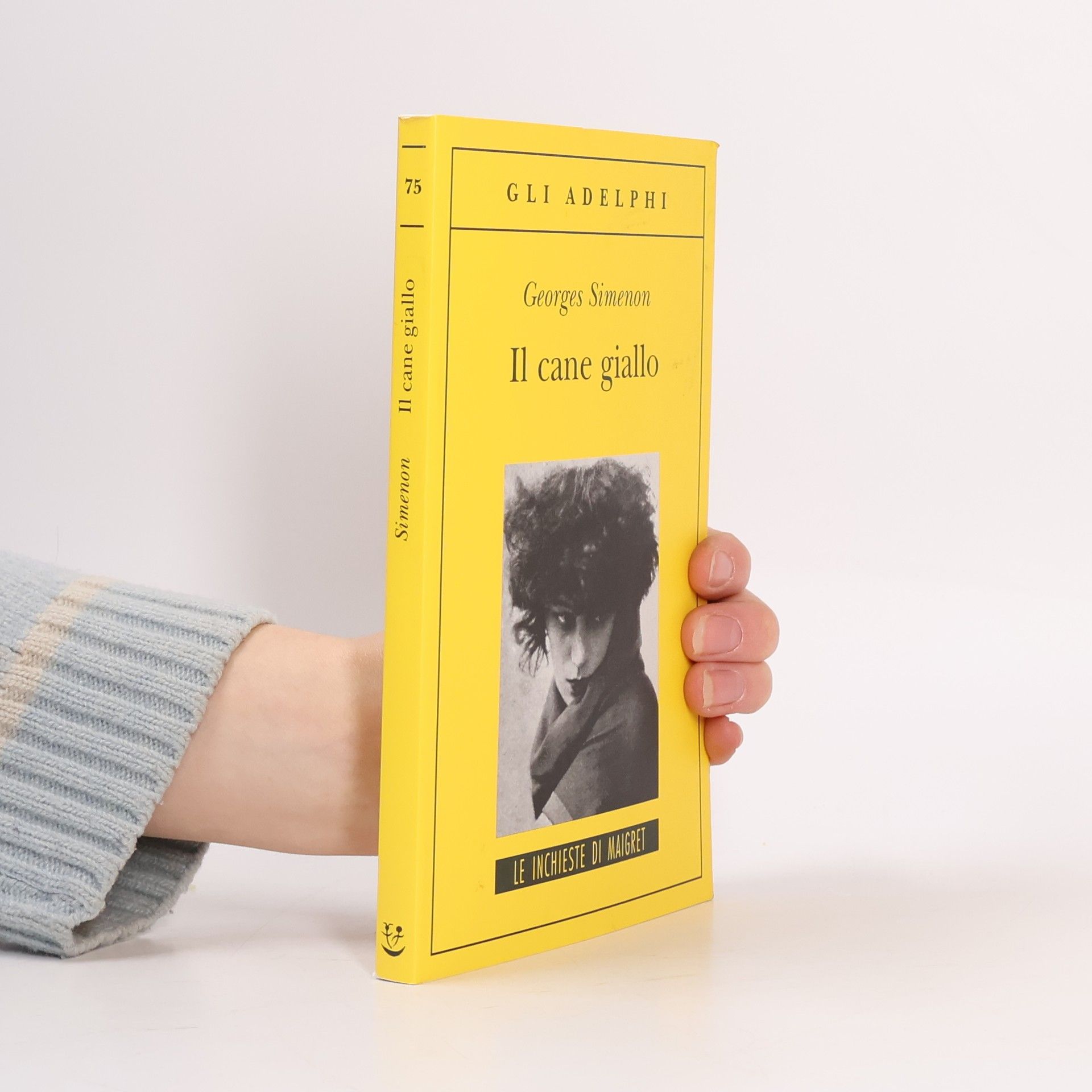 Georges Simenon Il cane giallo