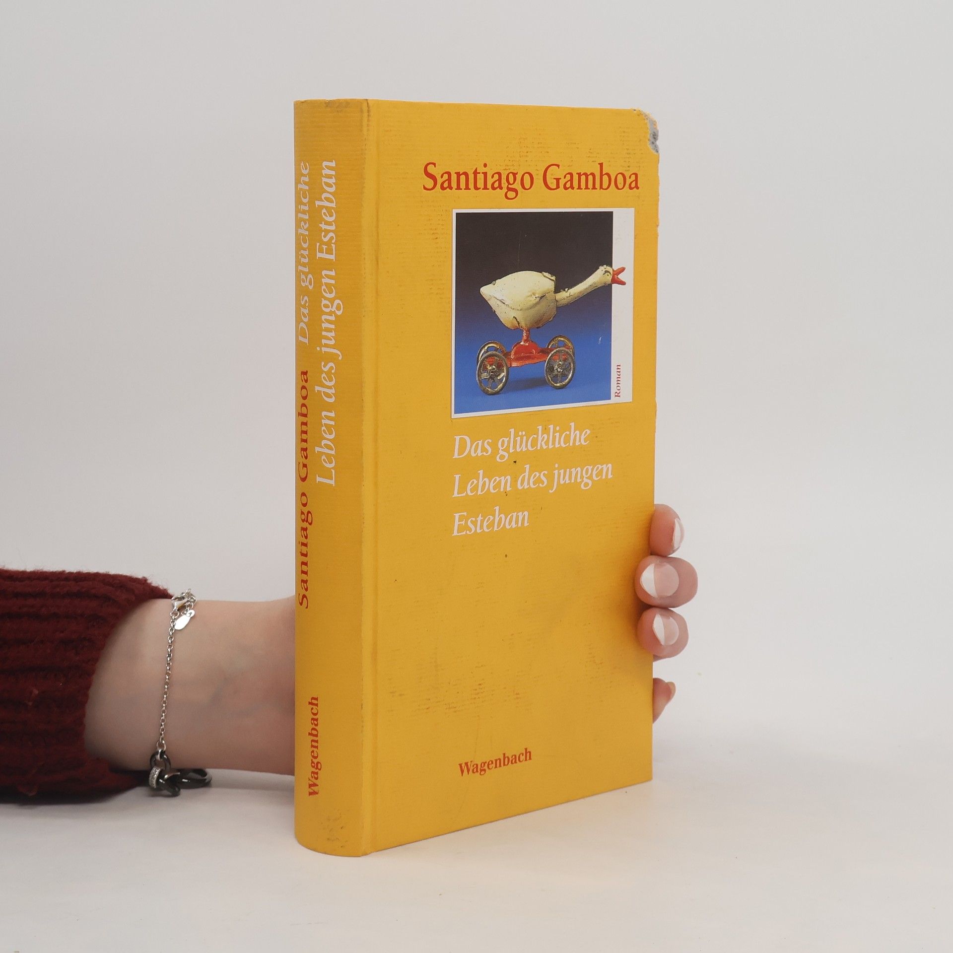 Das glückliche Leben des jungen Esteban