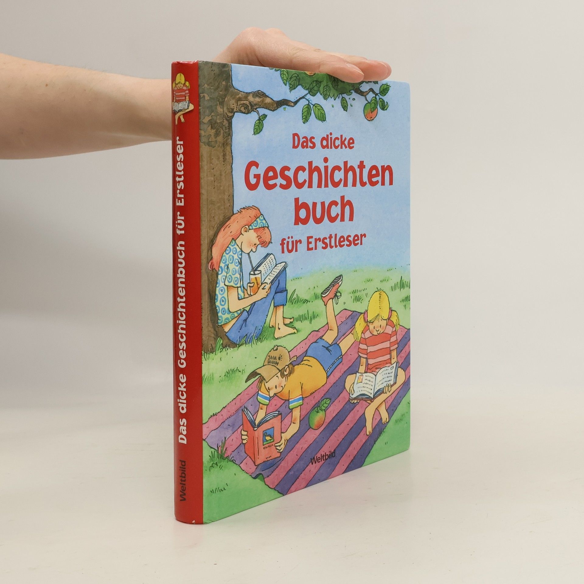 Kolektív autorov Das dicke Geschichtenbuch für Erstleser