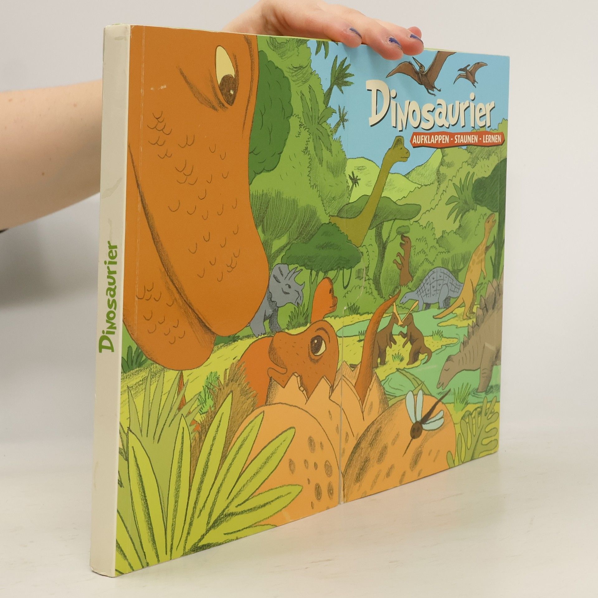 Autorenkollektiv Dinosaurier. Aufklappen. Staunen. Lernen