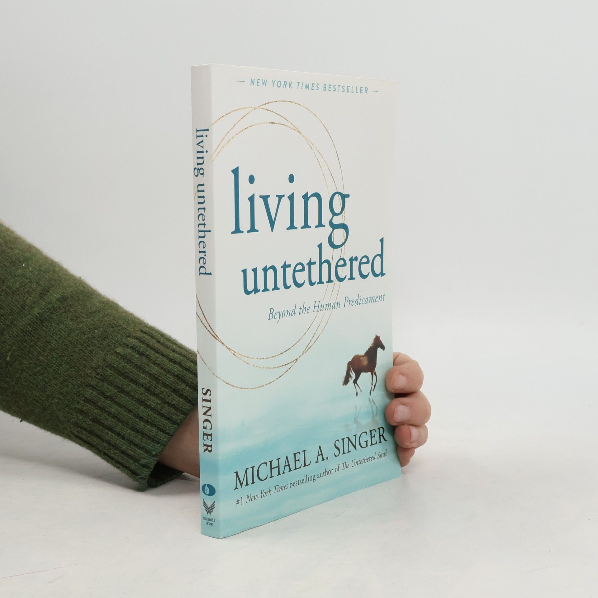 Michael A. Singer Living Untethered