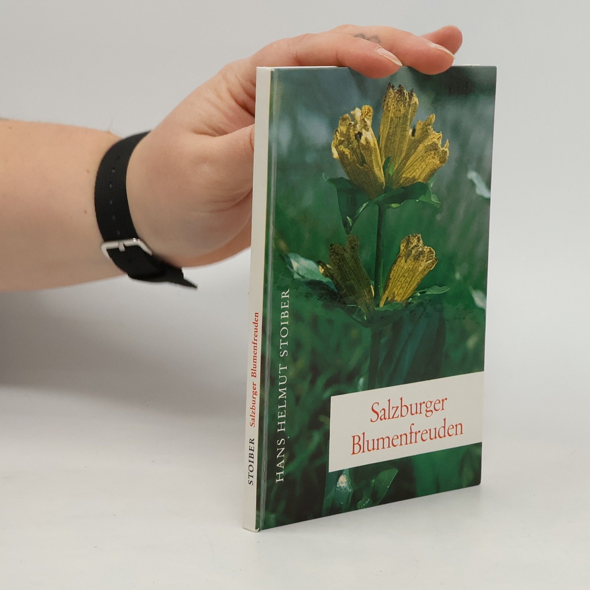 Hans Helmut Stoiber Salzburger Blumenfreuden