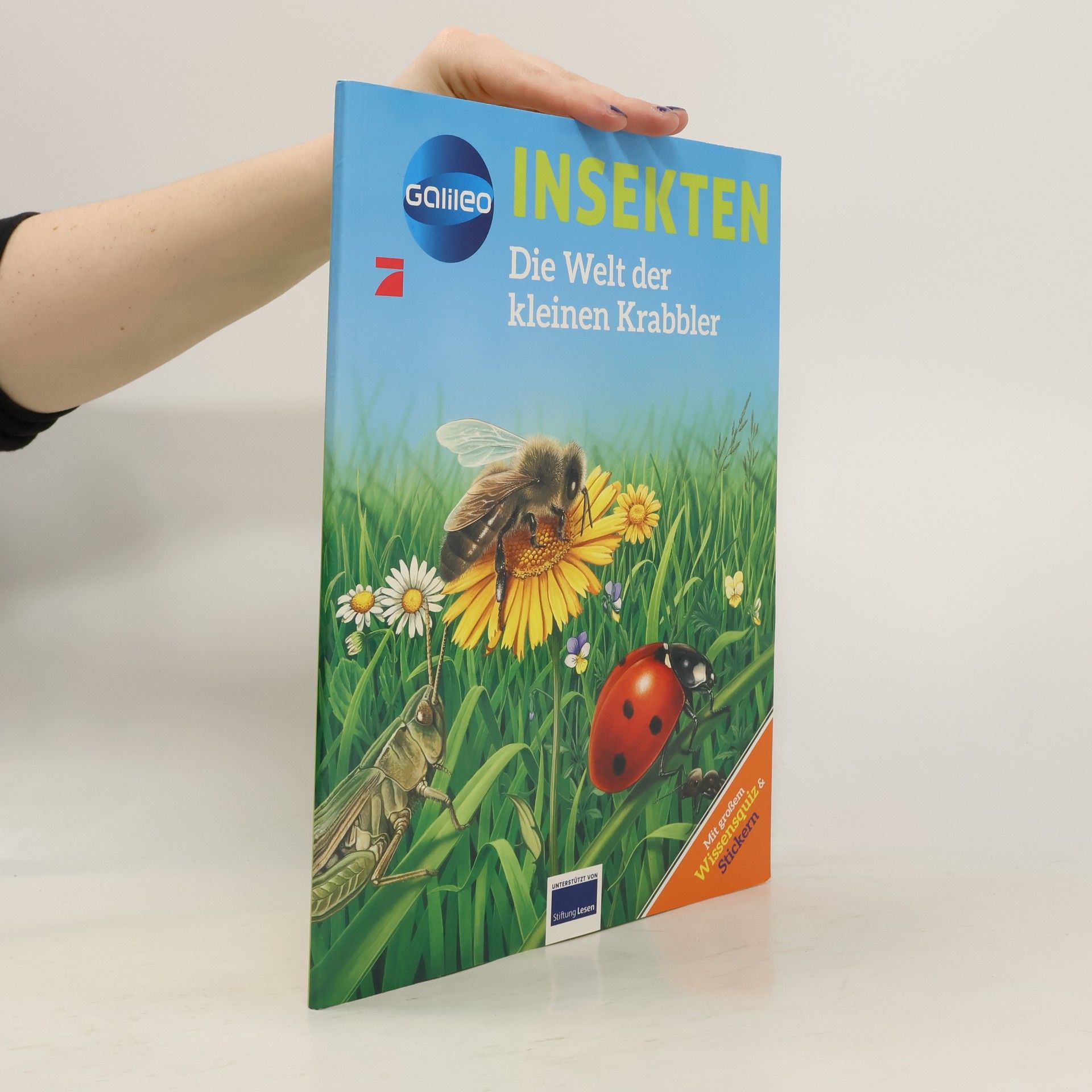 Autorenkollektiv Insekten. Die Welt der kleinen Krabbler