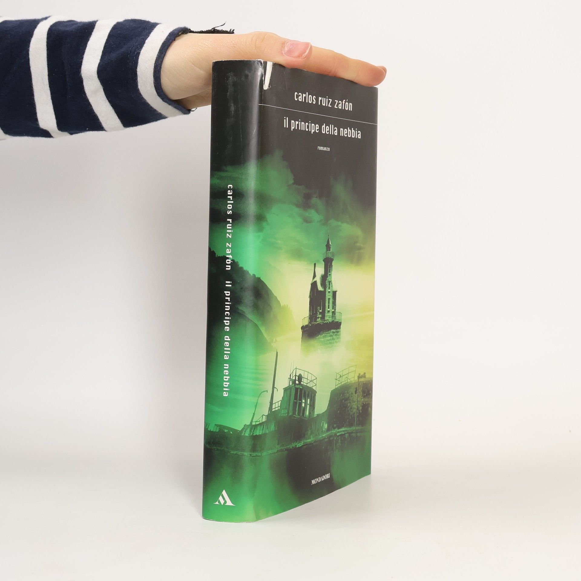 Carlos Ruiz Safon Il principe della nebbia