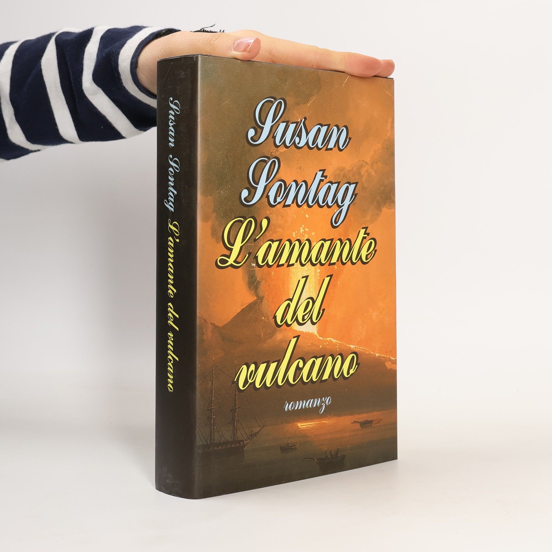 Susan Sontag L'amante del vulcano