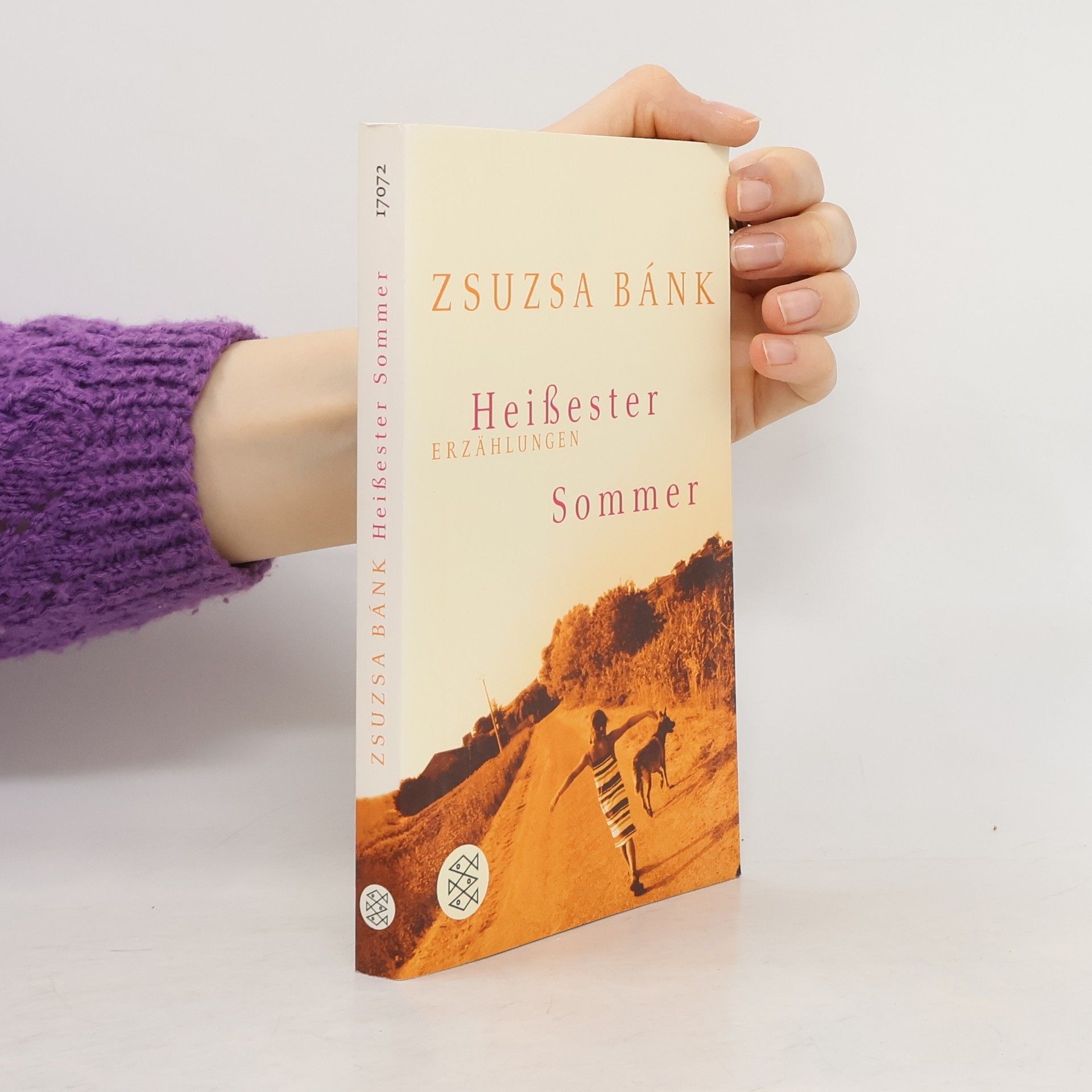 Zsuzsa Bánk Heißester Sommer