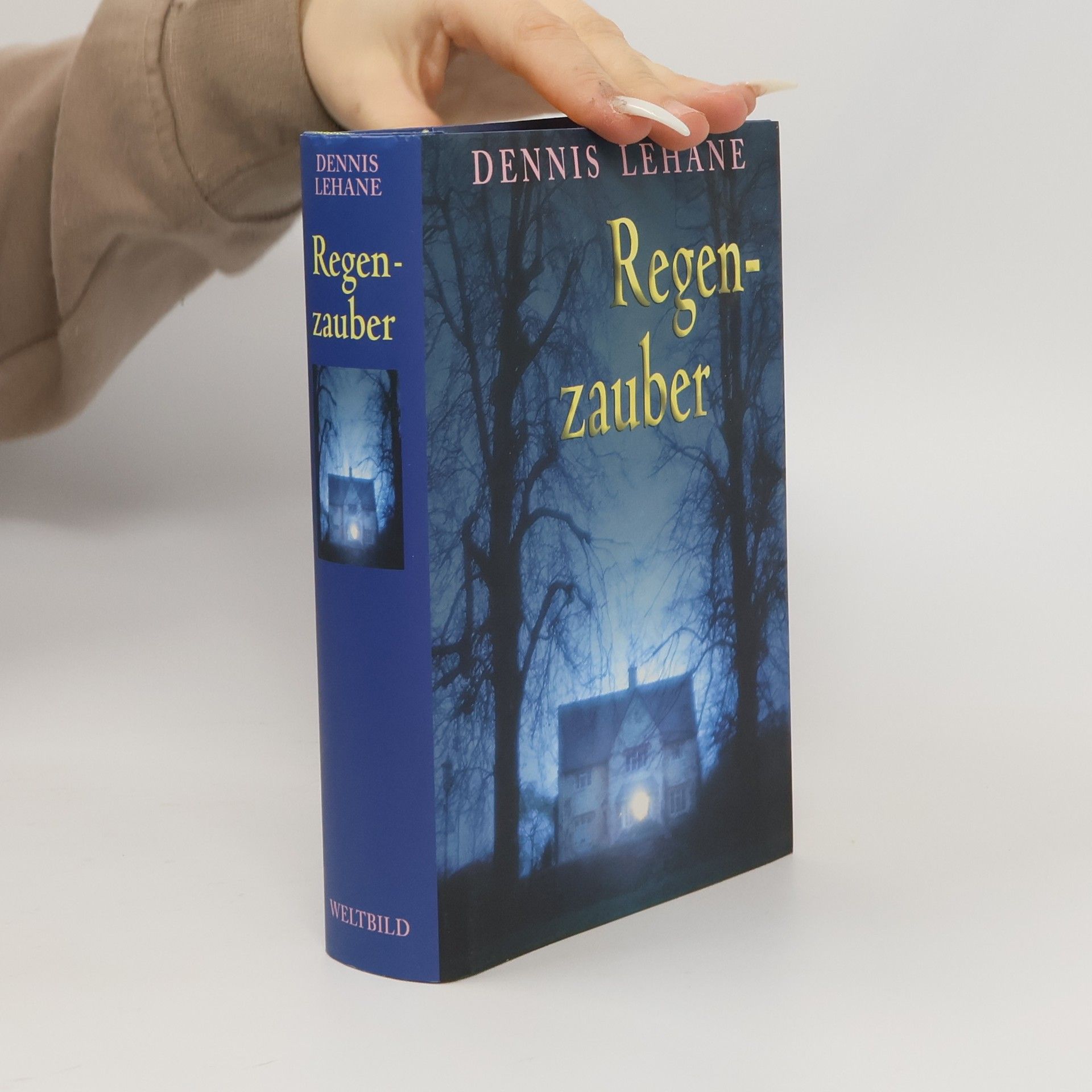 Dennis Lehane Regenzauber