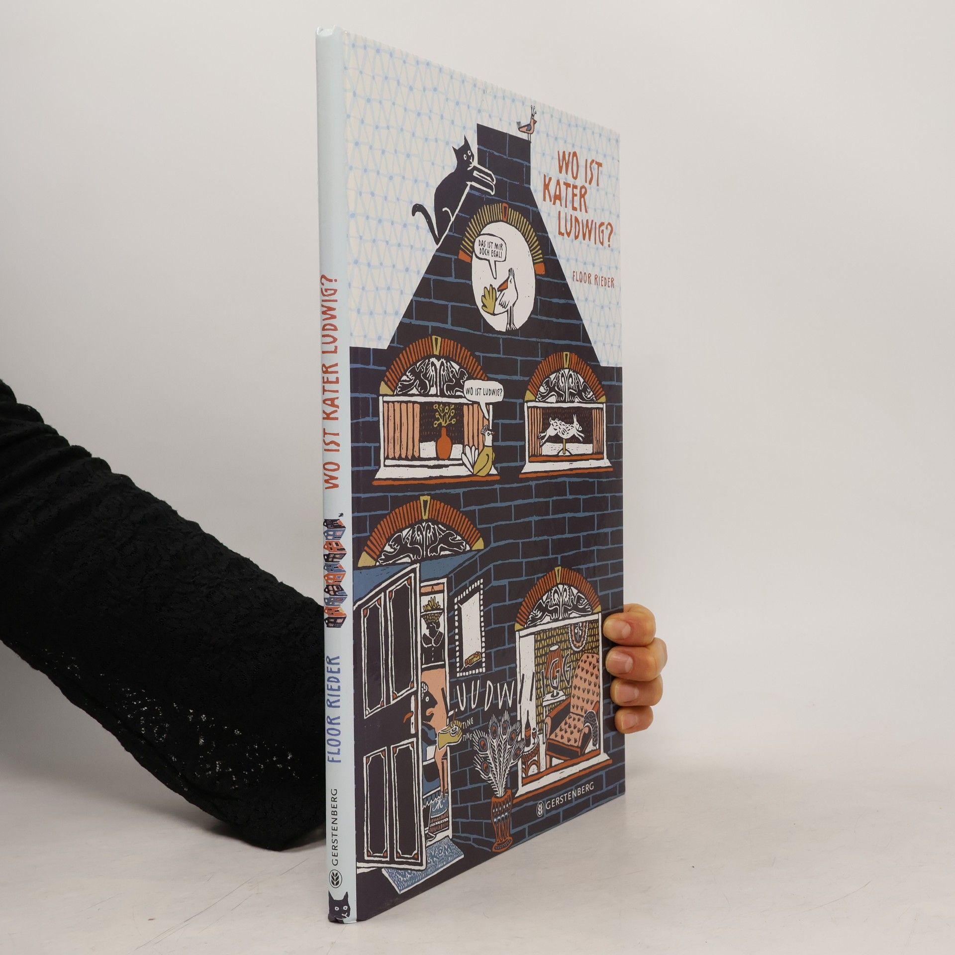 Floor Rieder Wo ist Kater Ludwig?