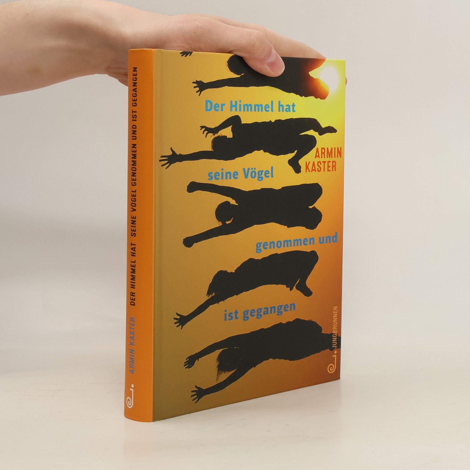 Armin Kaster Der Himmel hat seine Vögel genommen und ist gegangen