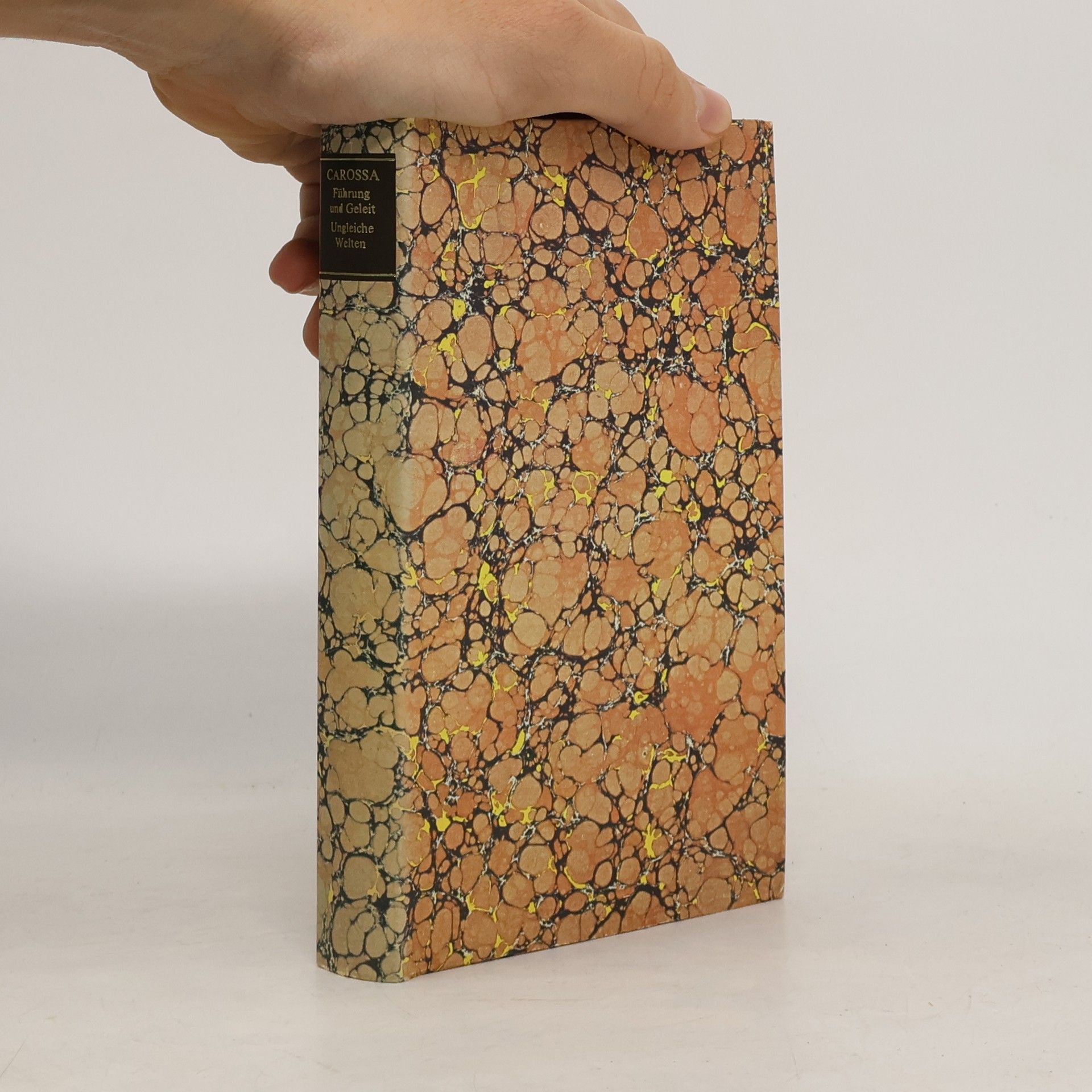 Führung und Geleit. Ungleiche Welten