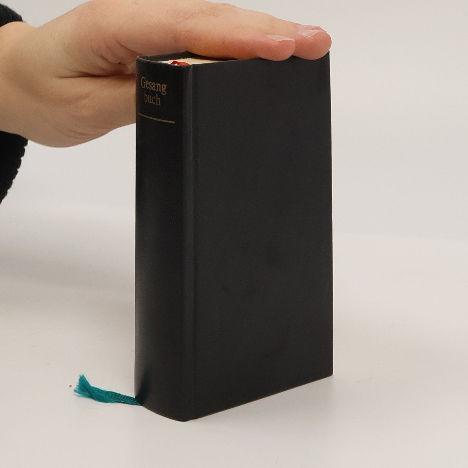 Kolektiv autorů Gesang buch