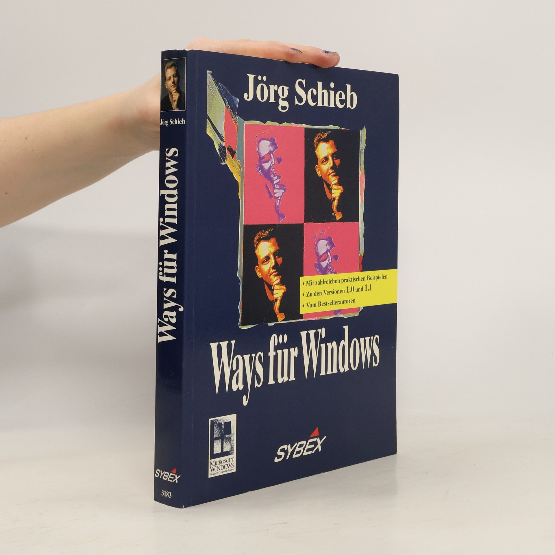 Jörg Schieb Ways für Windows