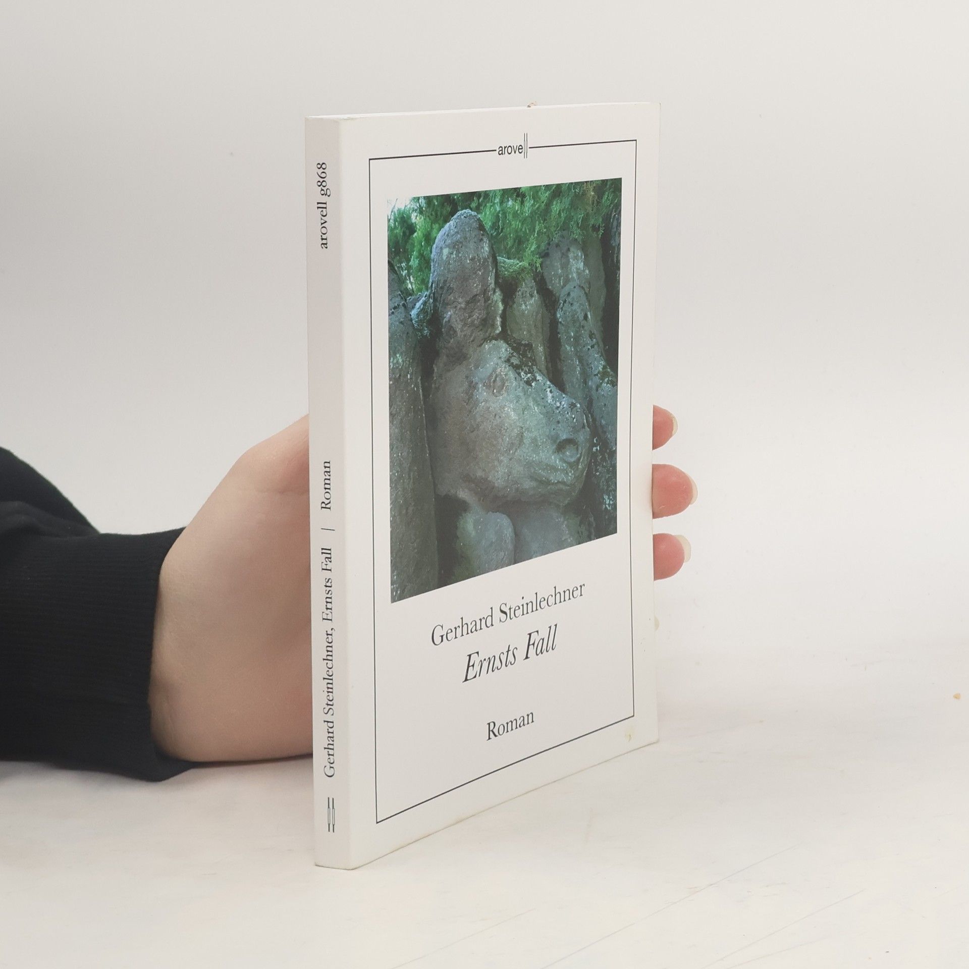 Gerhard Steinlechner Ernsts Fall