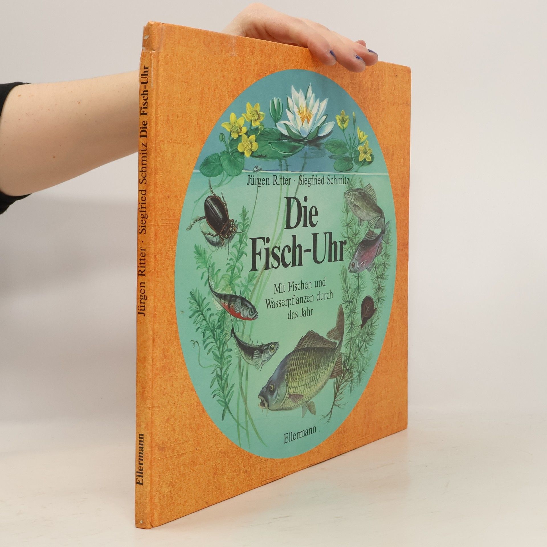 Die Fisch-Uhr