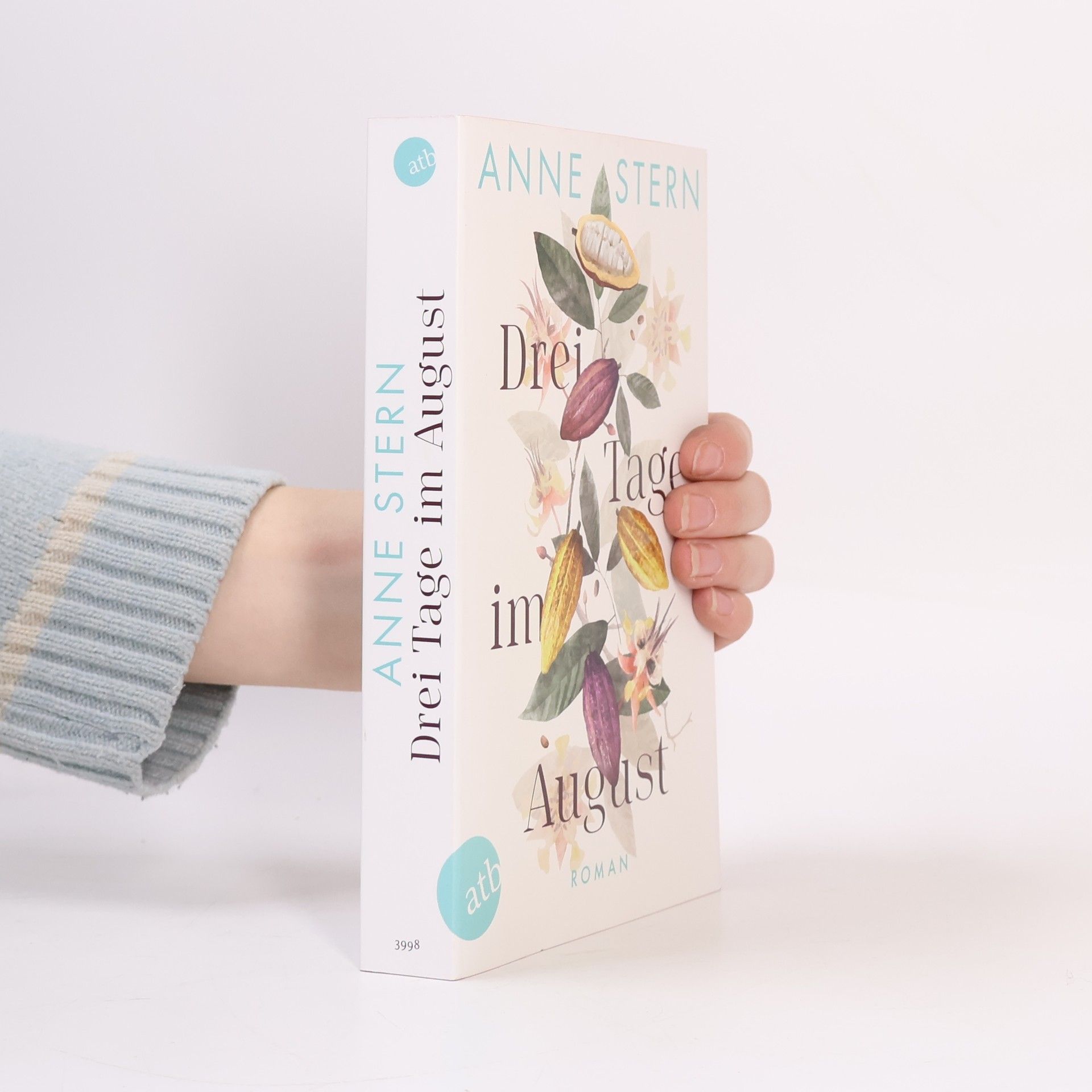 Anne Stern Drei Tage im August