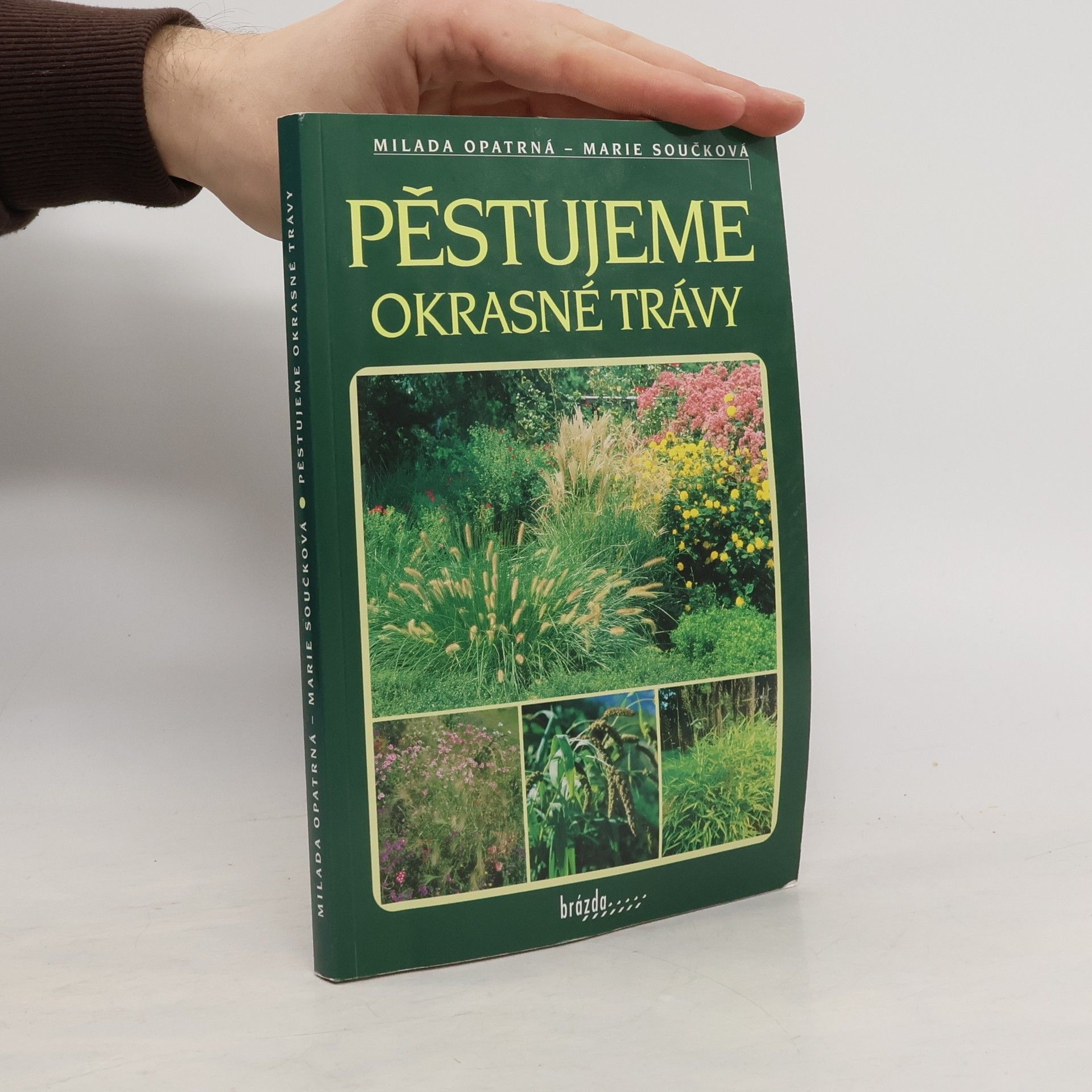 Pěstujeme okrasné trávy