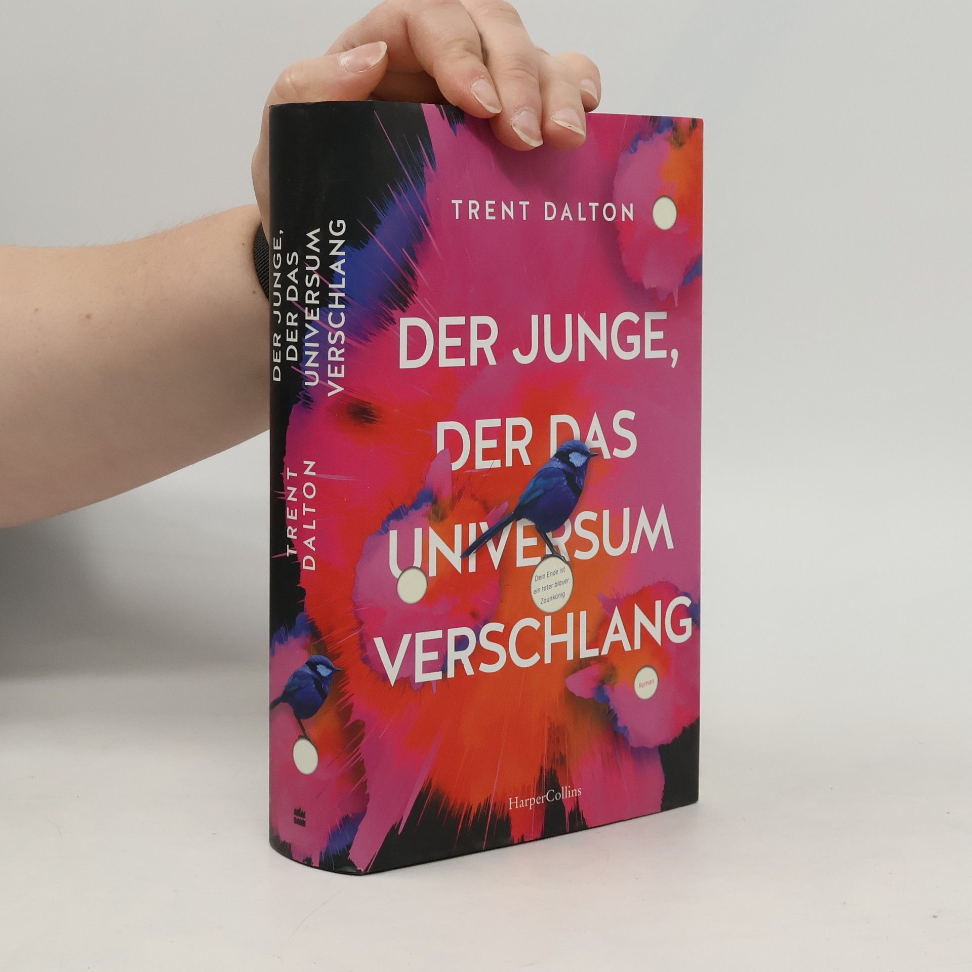 Trent Dalton Der Junge, der das Universum verschlang
