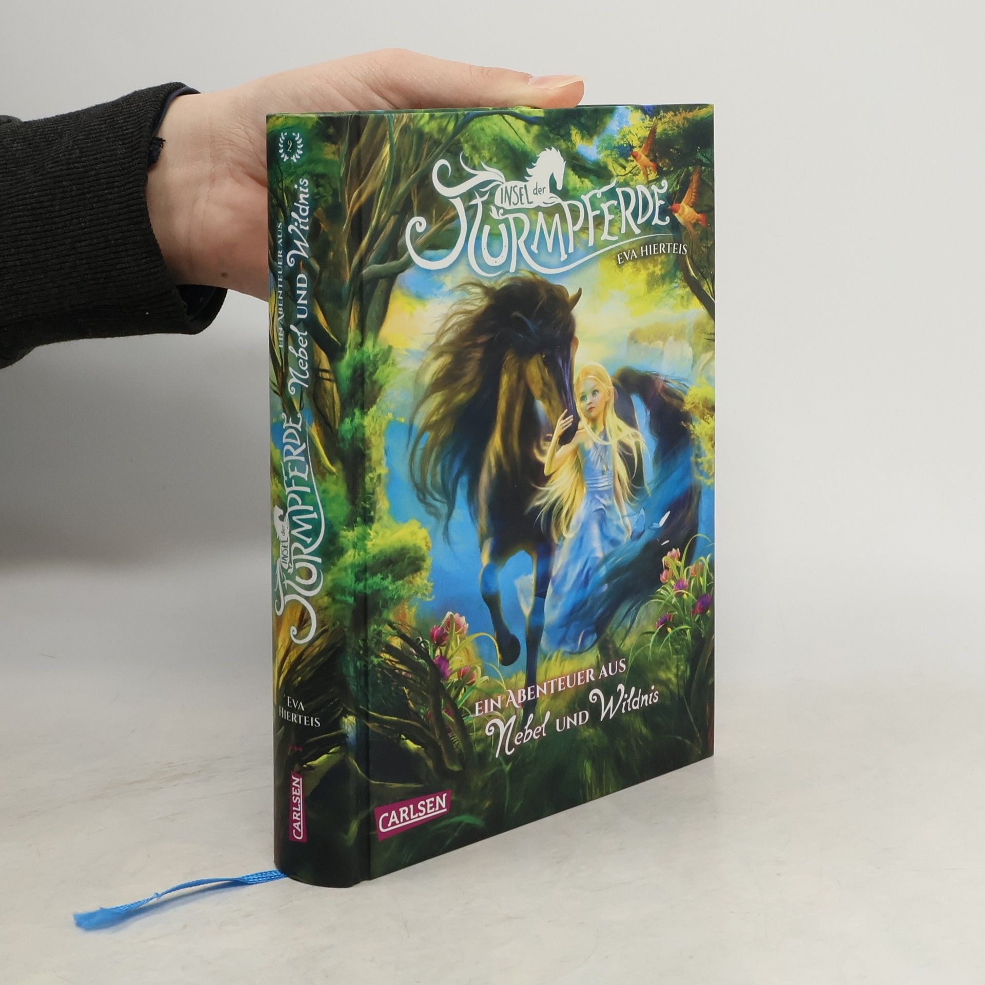 Eva Hierteis Insel der Sturmpferde 2: Ein Abenteuer aus Nebel und Wildnis
