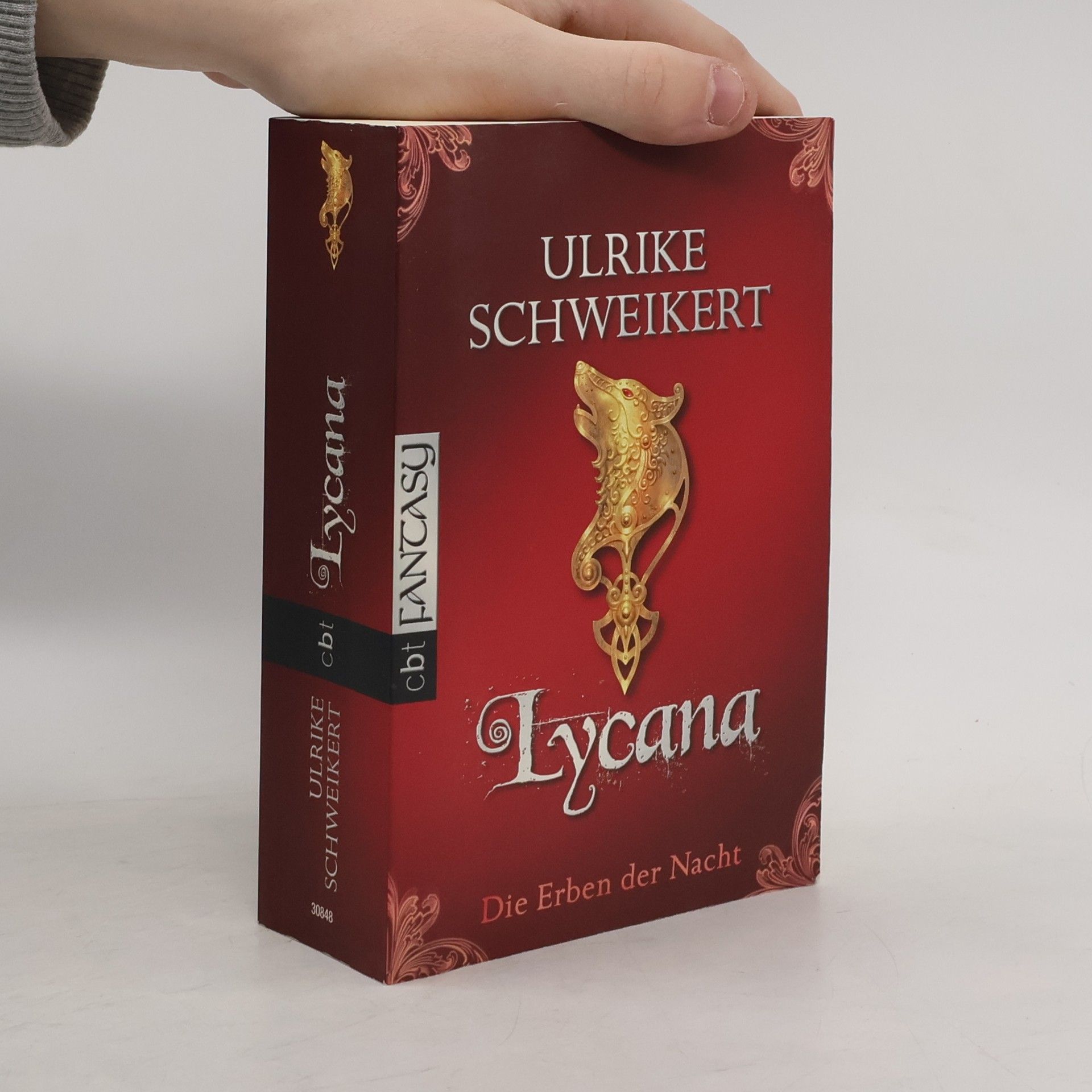 Ulrike Schweikert Die Erben der Nacht - Lycana. Die Erben der Nacht; Band 2