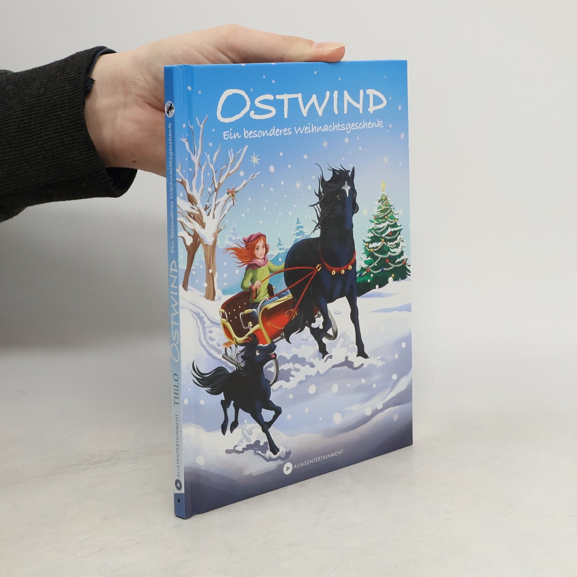 Thilo Petry-Lassak Ostwind - Ein besonderes Weihnachtsgeschenk