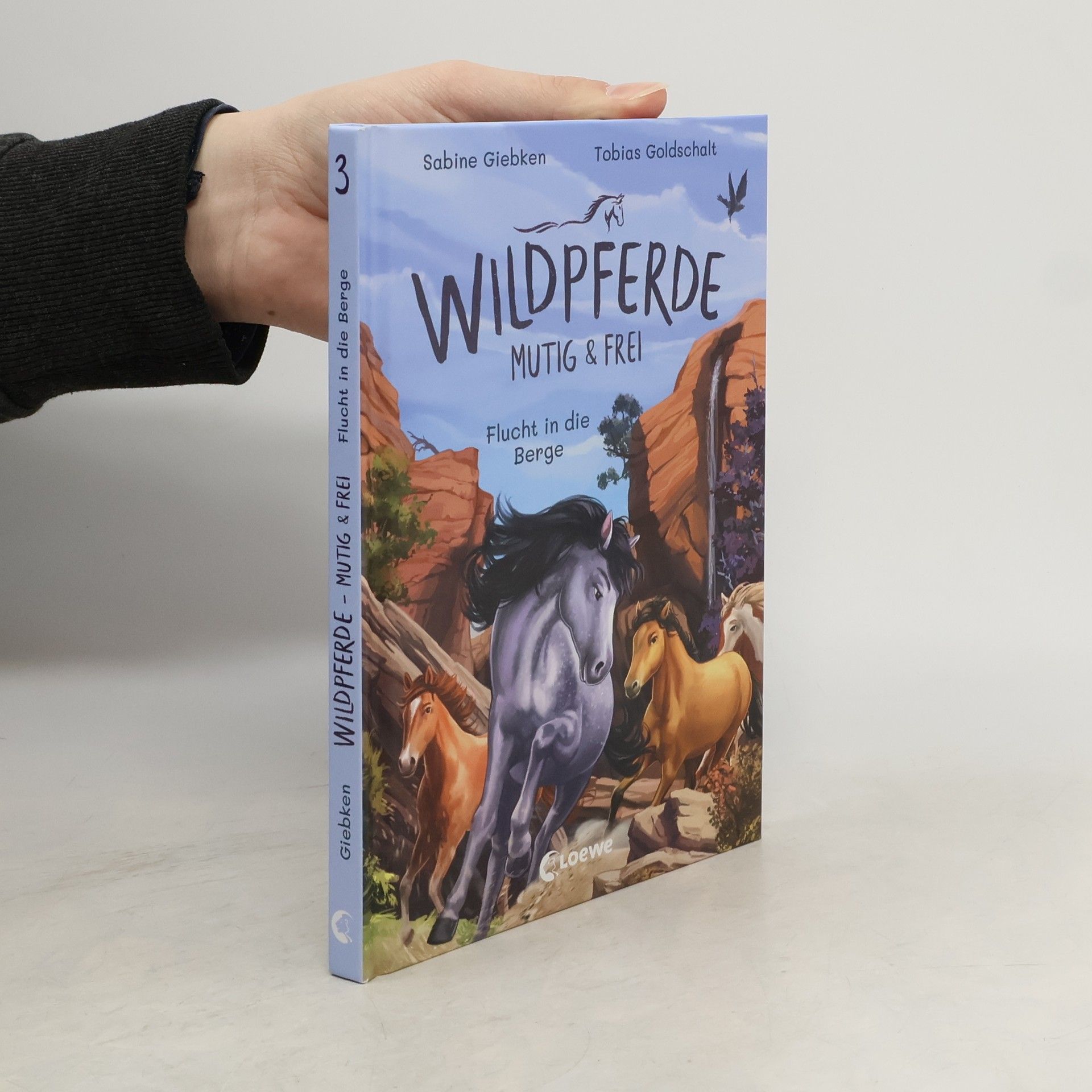 Sabine Giebken Wildpferde - mutig und frei (Band 3) - Flucht in die Berge