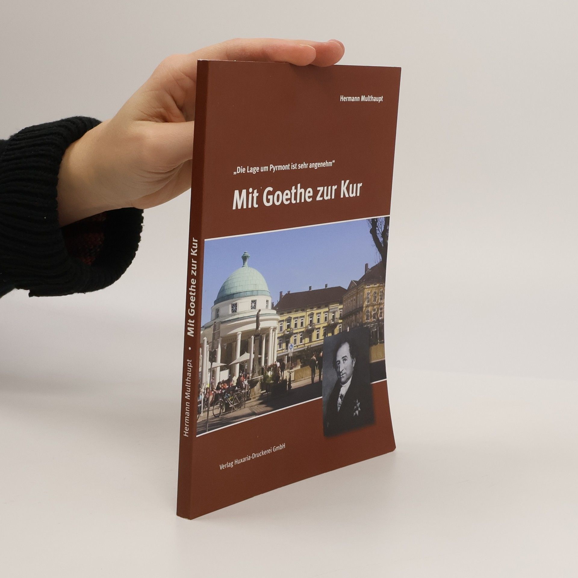 Hermann Multhaupt Mit Goethe zur Kur