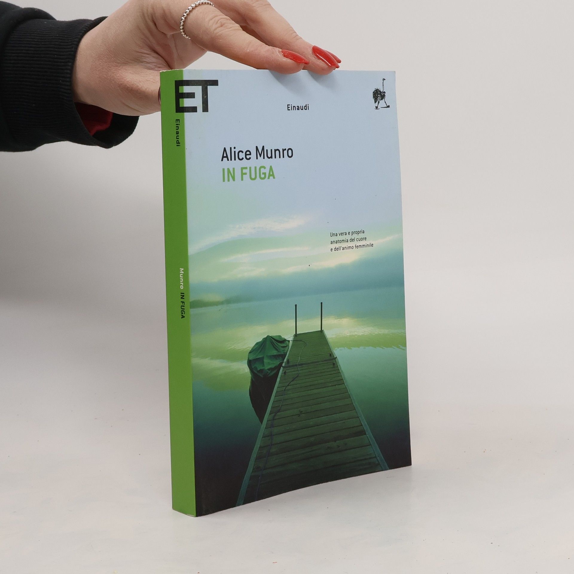 Alice Munroová In fuga