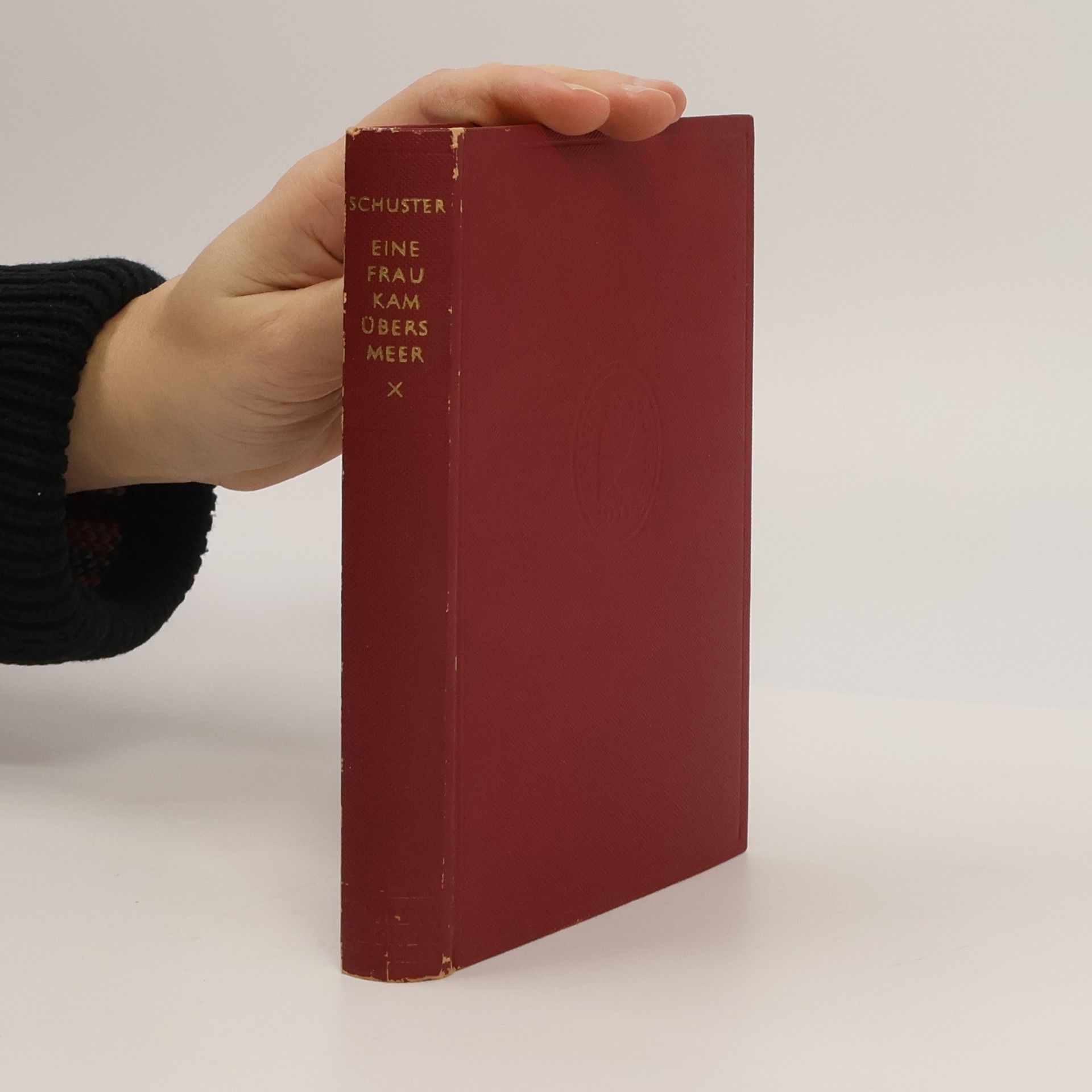 Ilse Schuster Eine Frau kam übers Meer