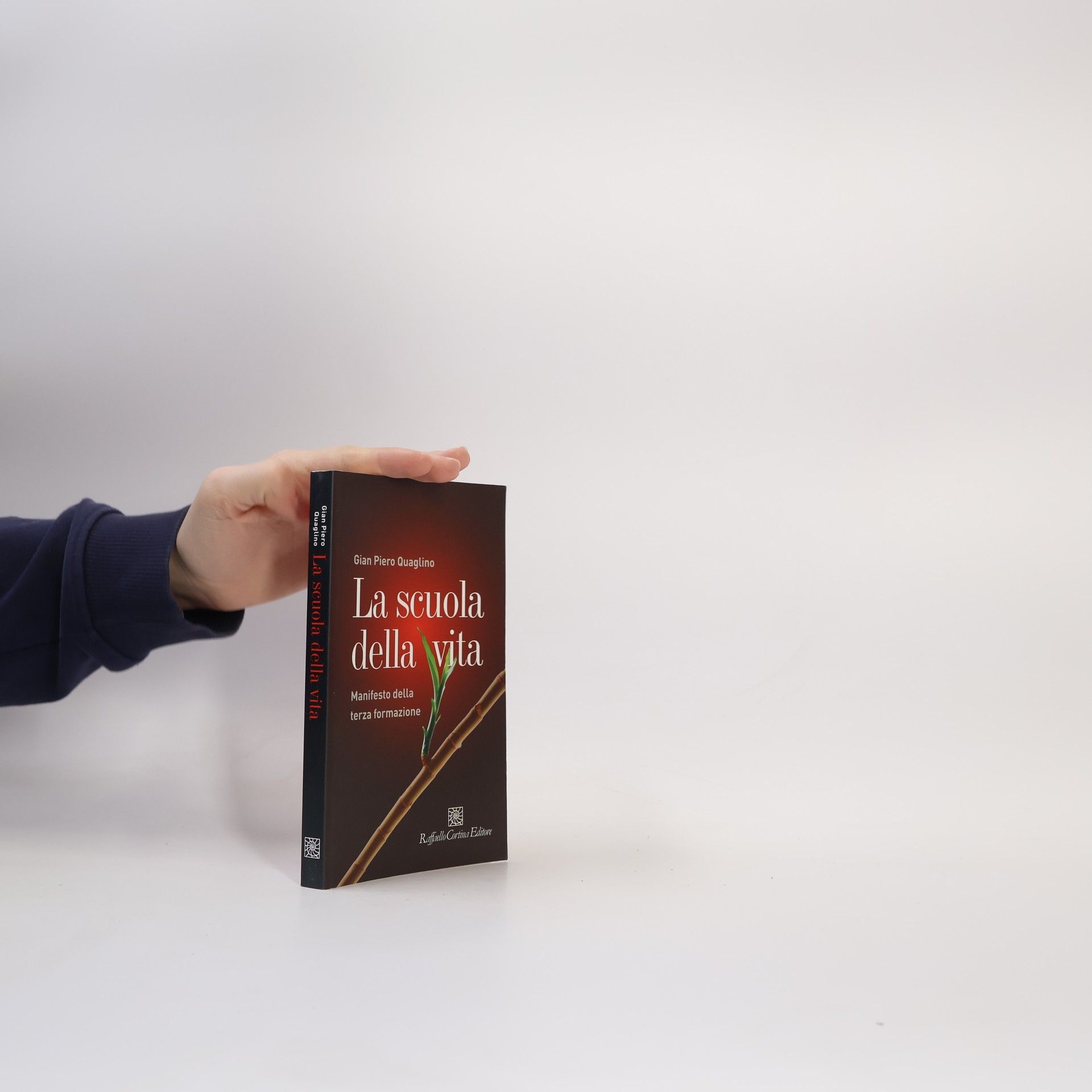 La scuola della vita. Manifesto della terza formazione