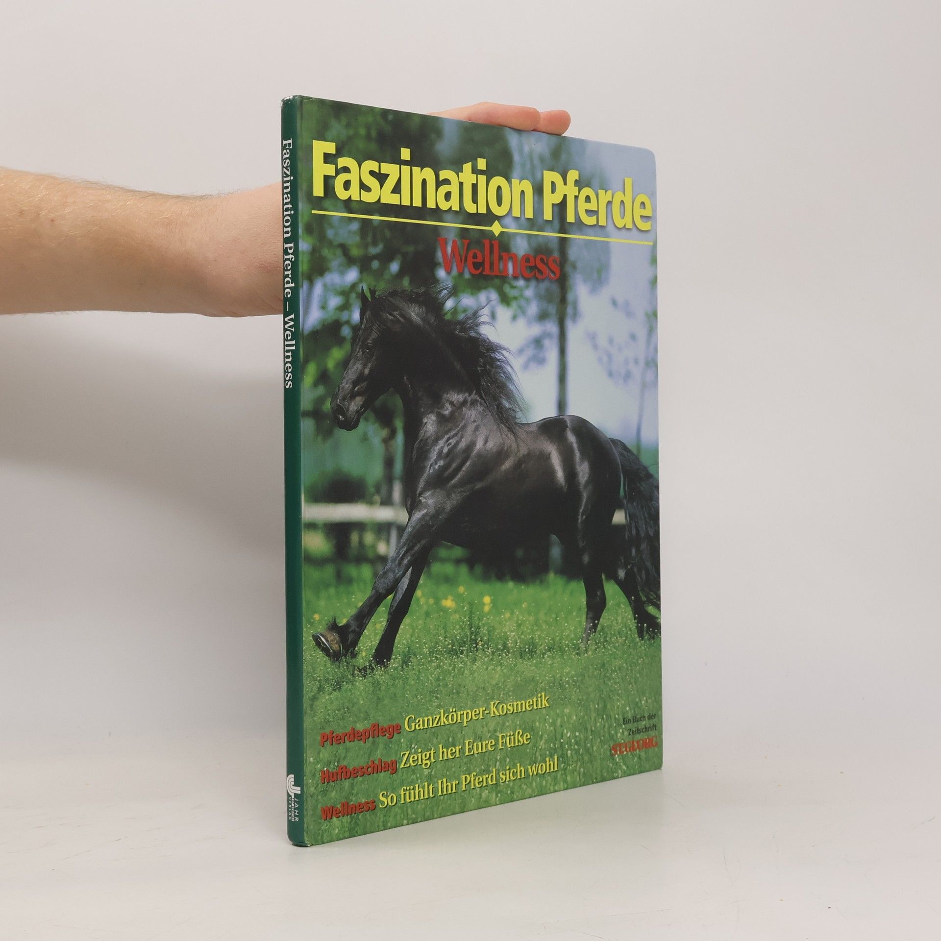 Autorenkollektiv Faszination Pferde