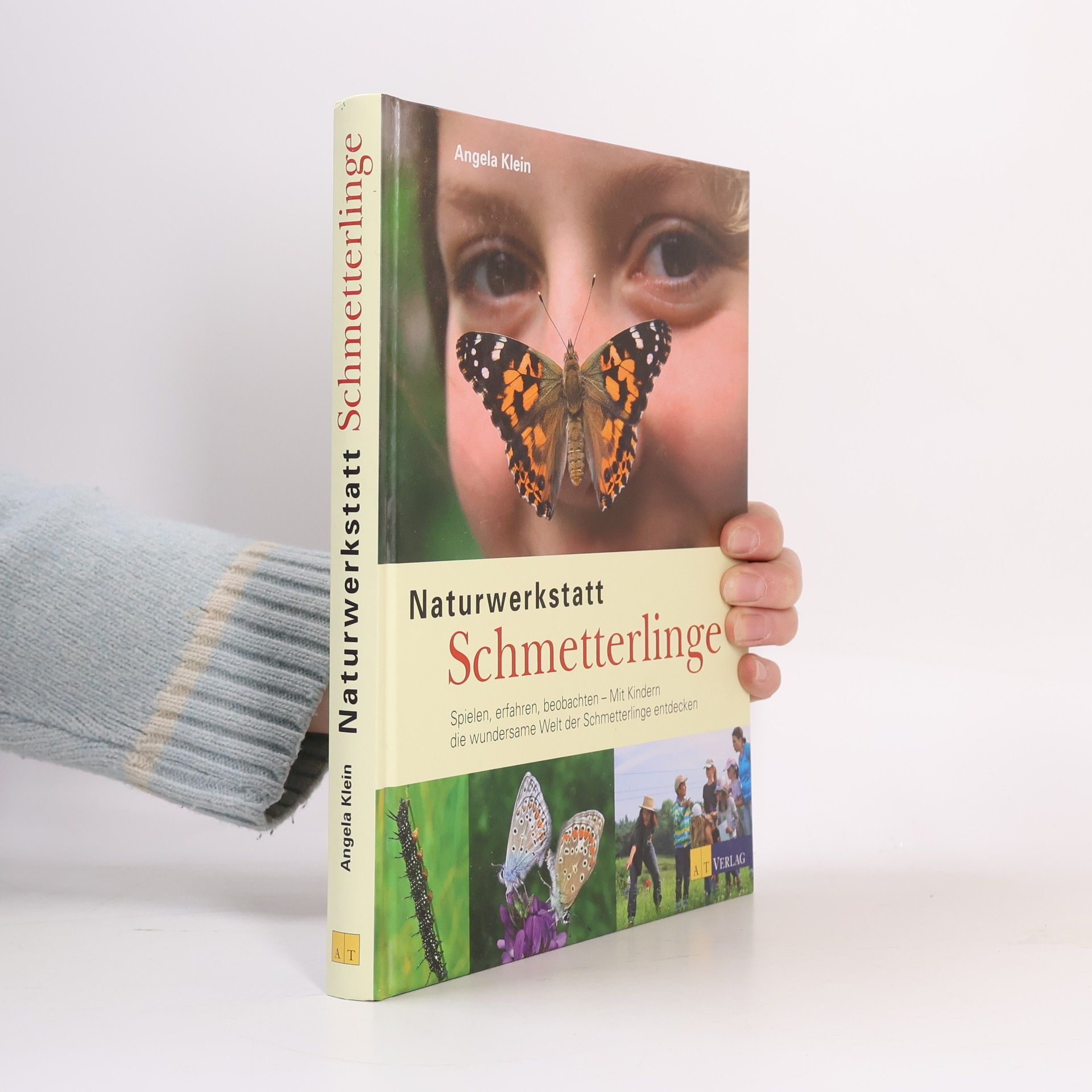 Angela Klein Naturwerkstatt Schmetterlinge