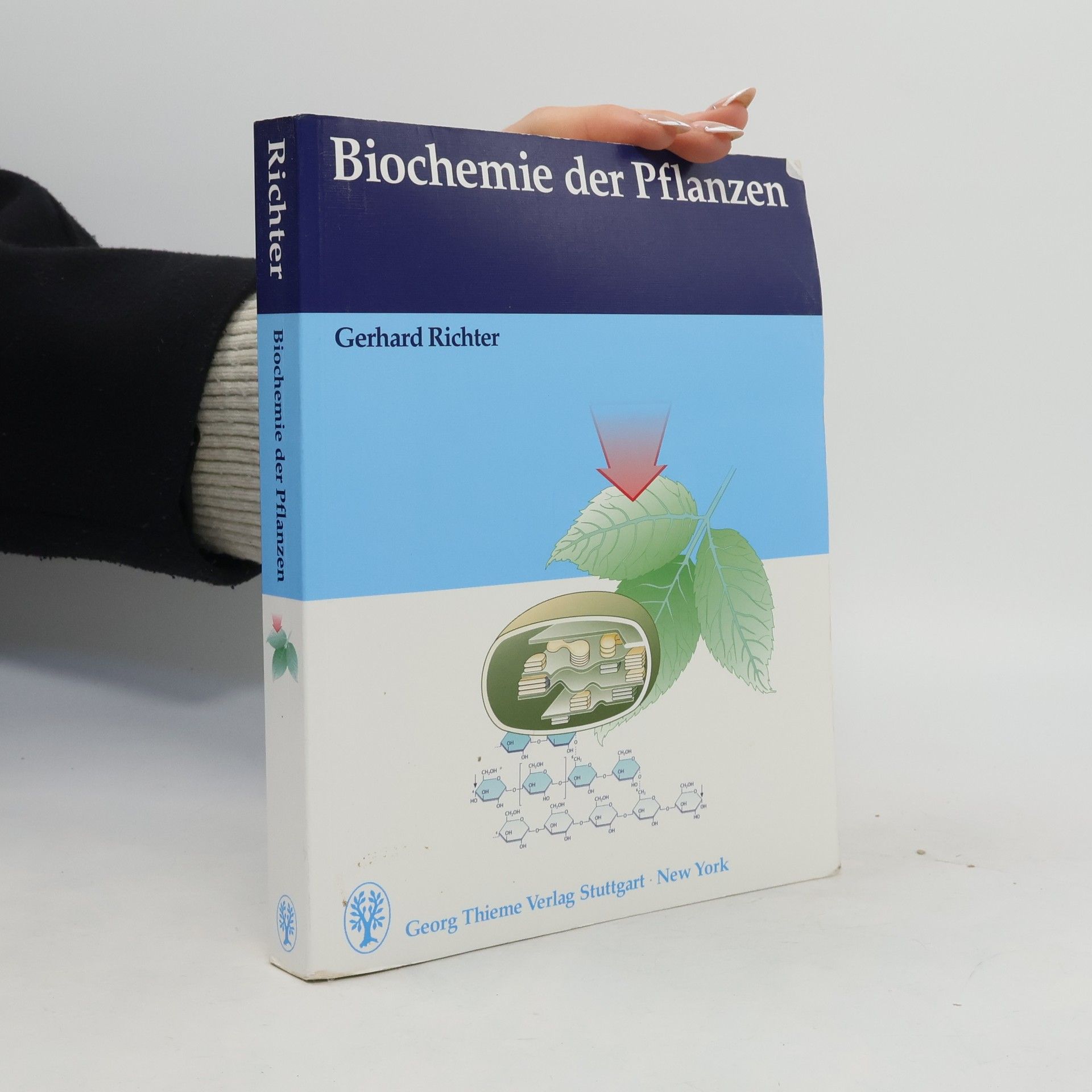 Gerhard Richter Biochemie der Pflanzen