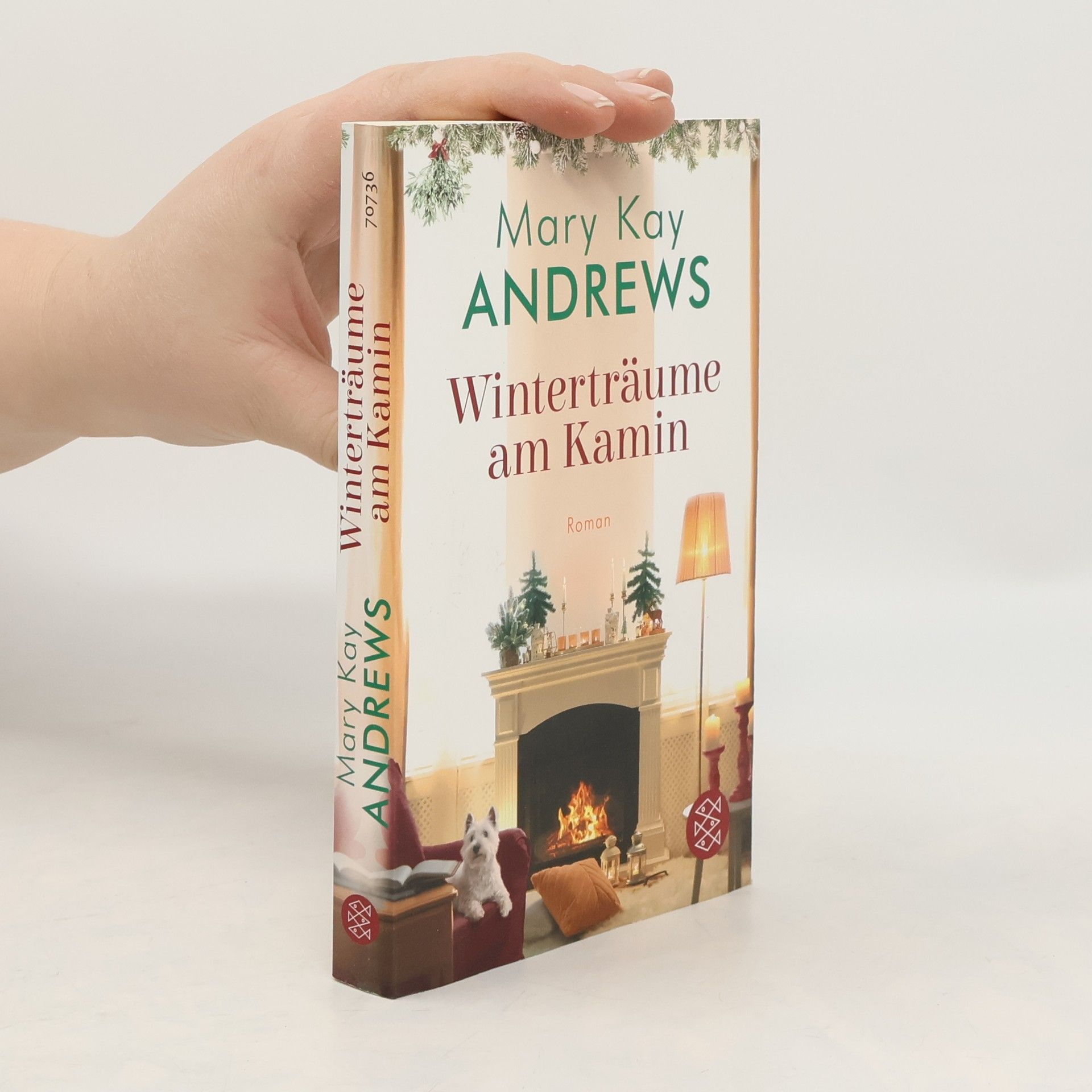 Mary Kay Andrews Winterträume am Kamin