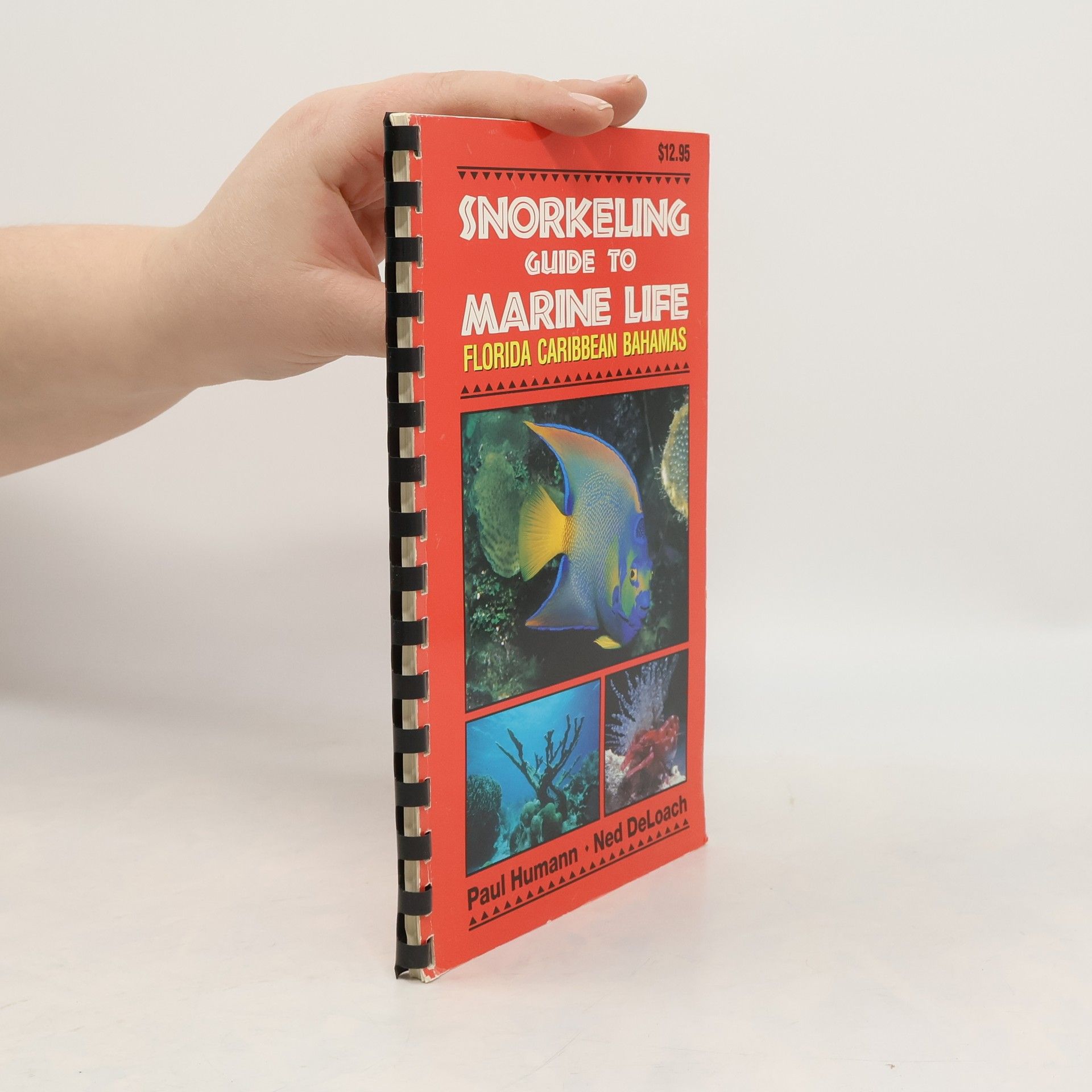 Paul Humann Snorkeling Guide to Marine Life