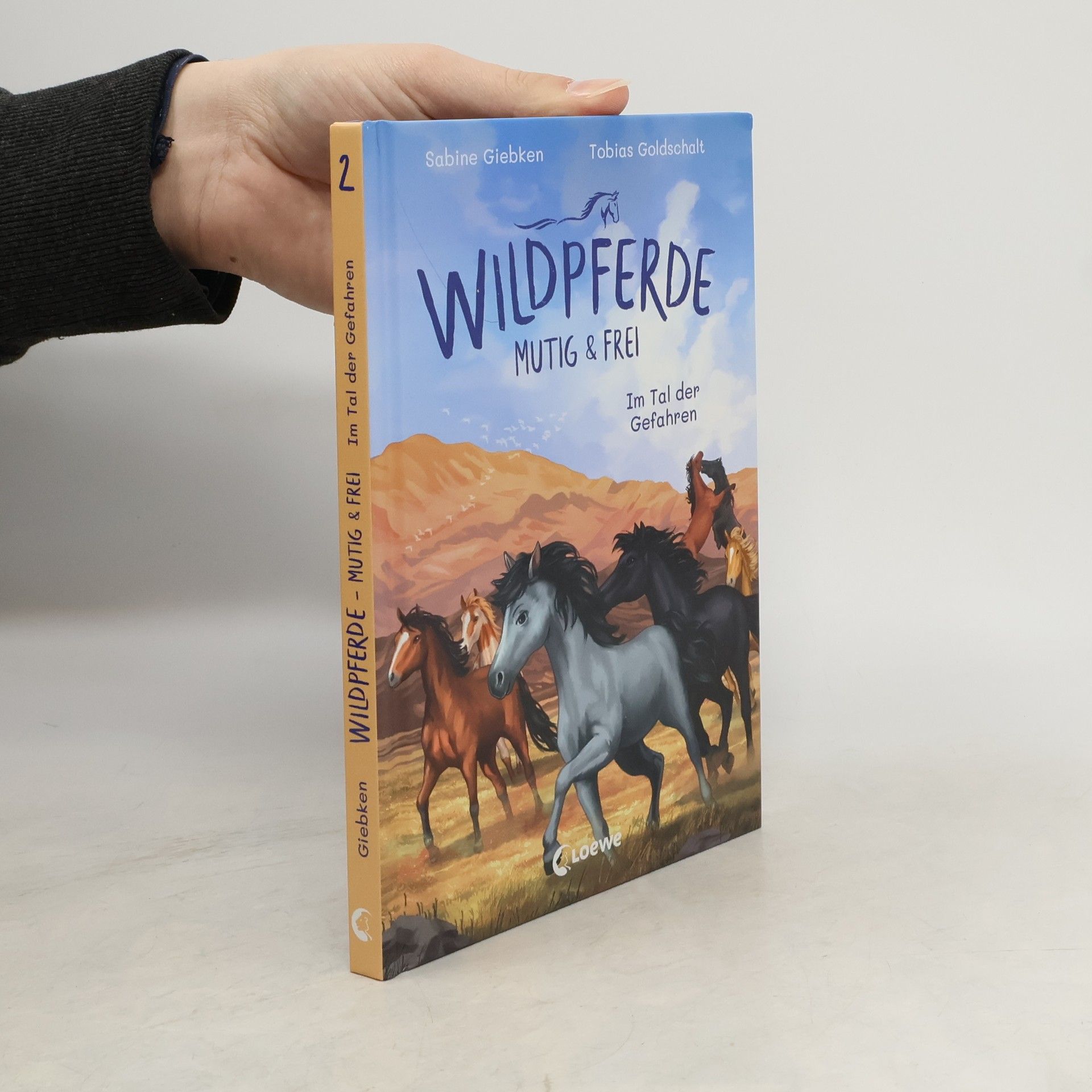 Sabine Giebken Wildpferde - mutig und frei (Band 2) - Im Tal der Gefahren