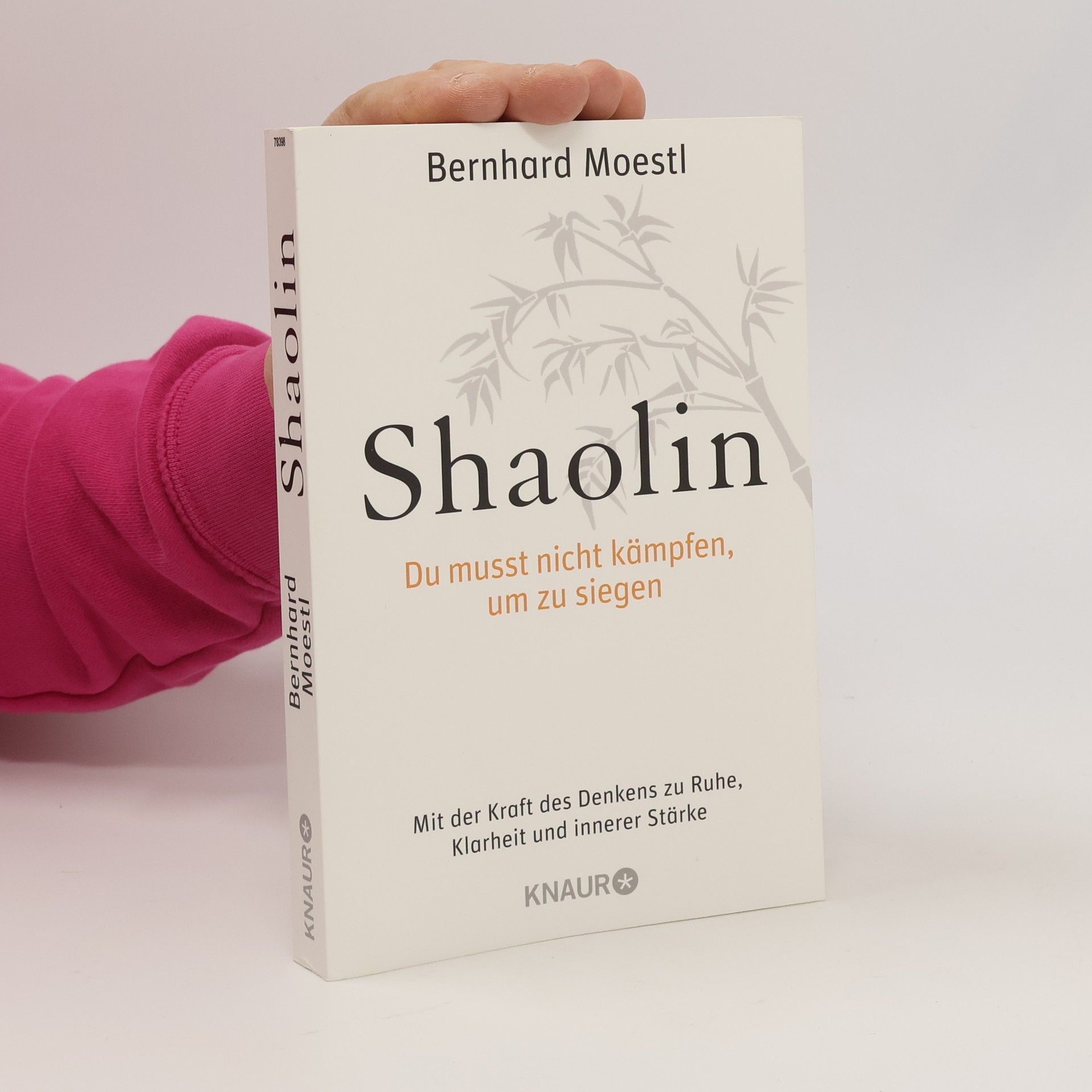 Bernhard Moestl Shaolin