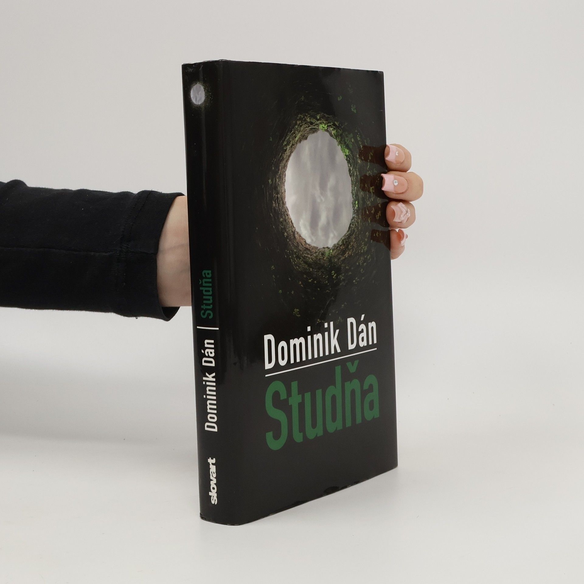 Dominik Dán Studňa