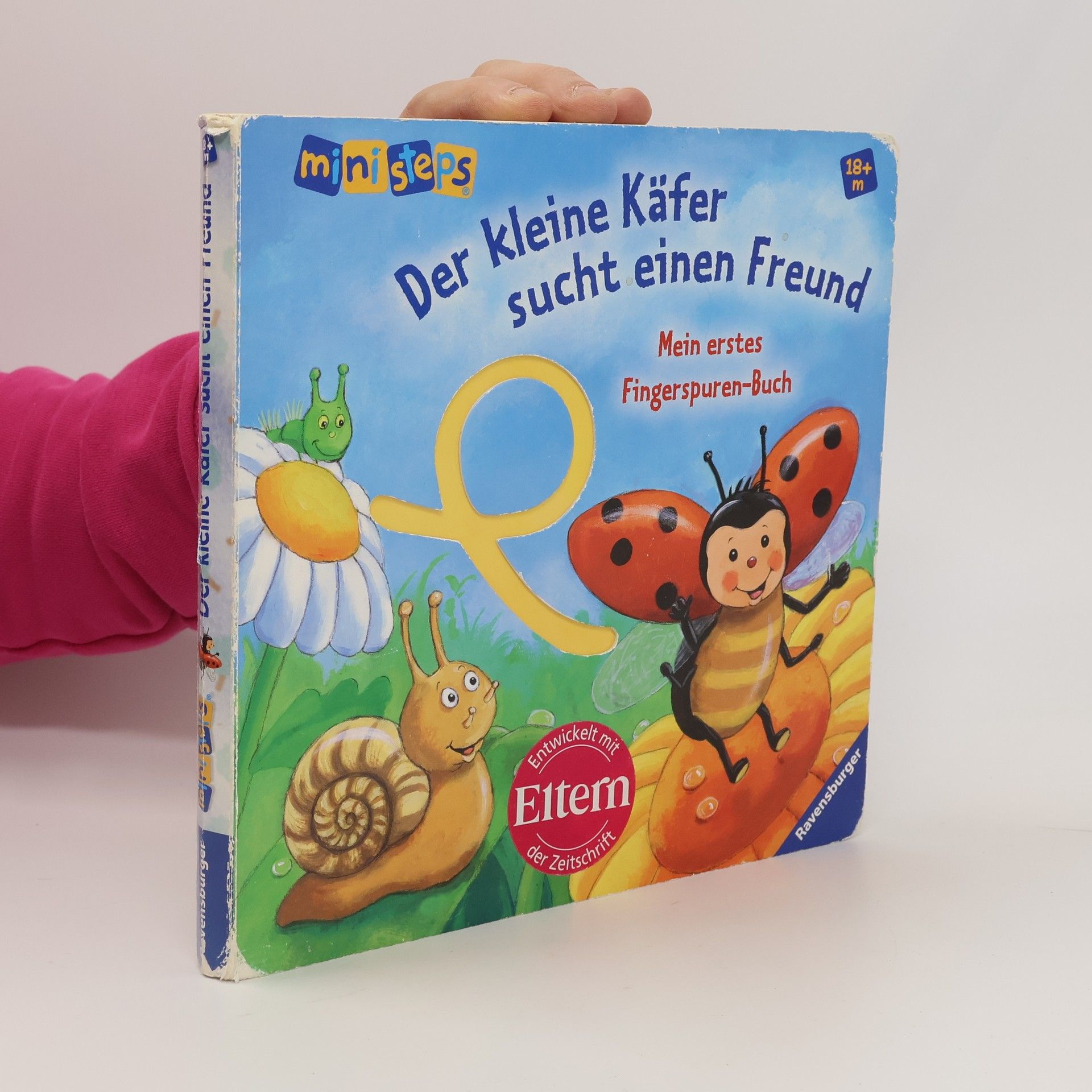 Der kleine Käfer sucht einen Freund