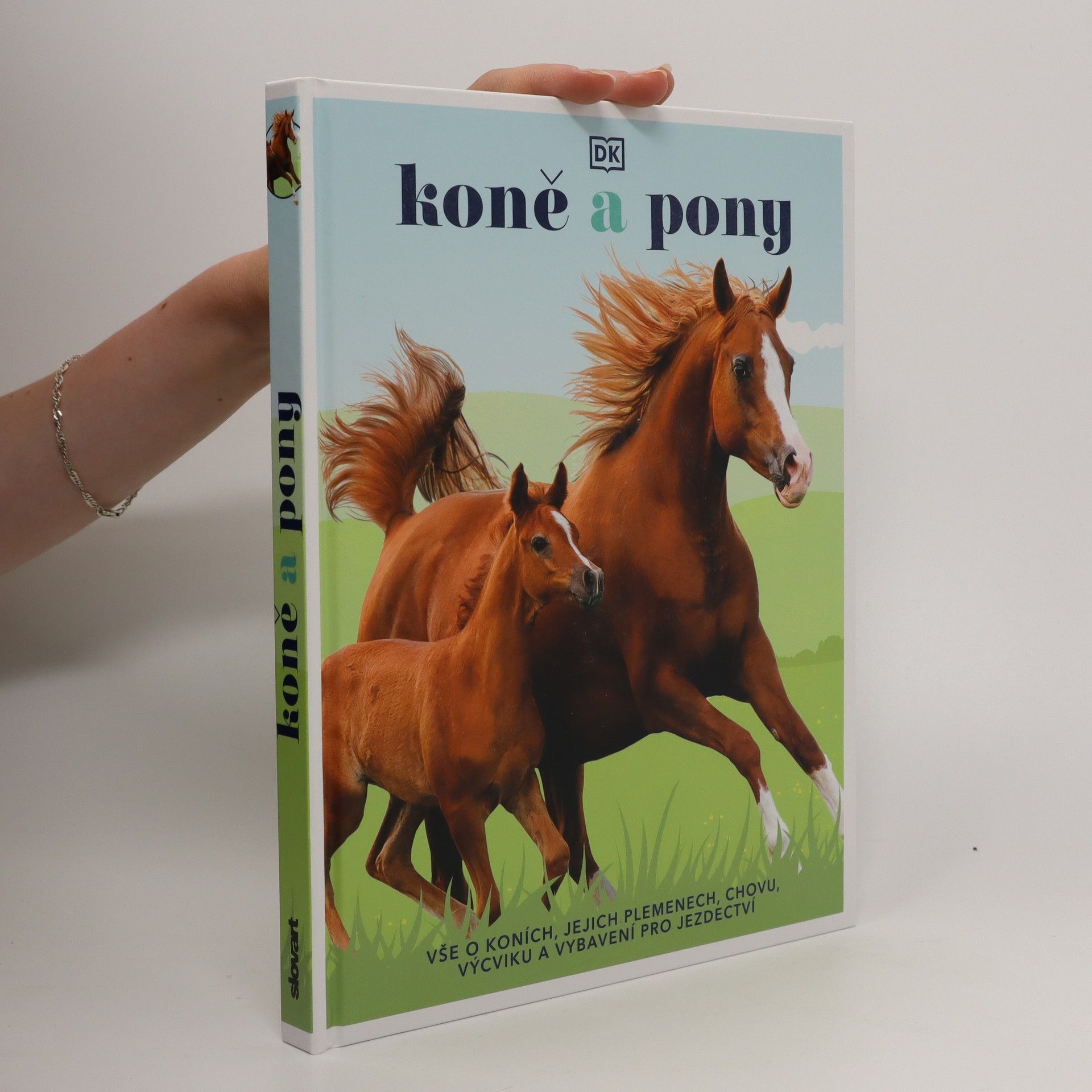 Various authors Koně a pony
