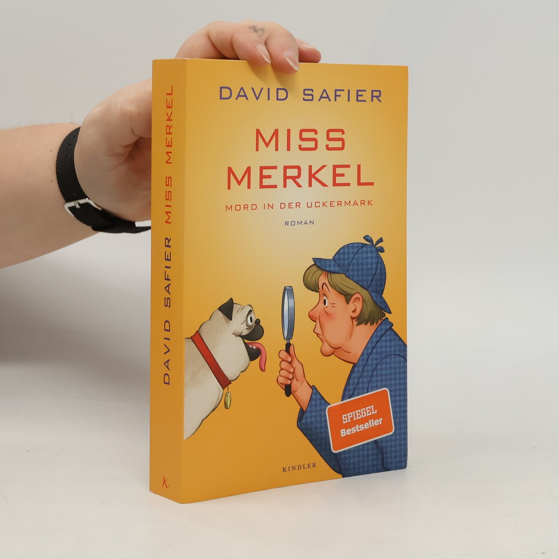 David Safier Miss Merkel
