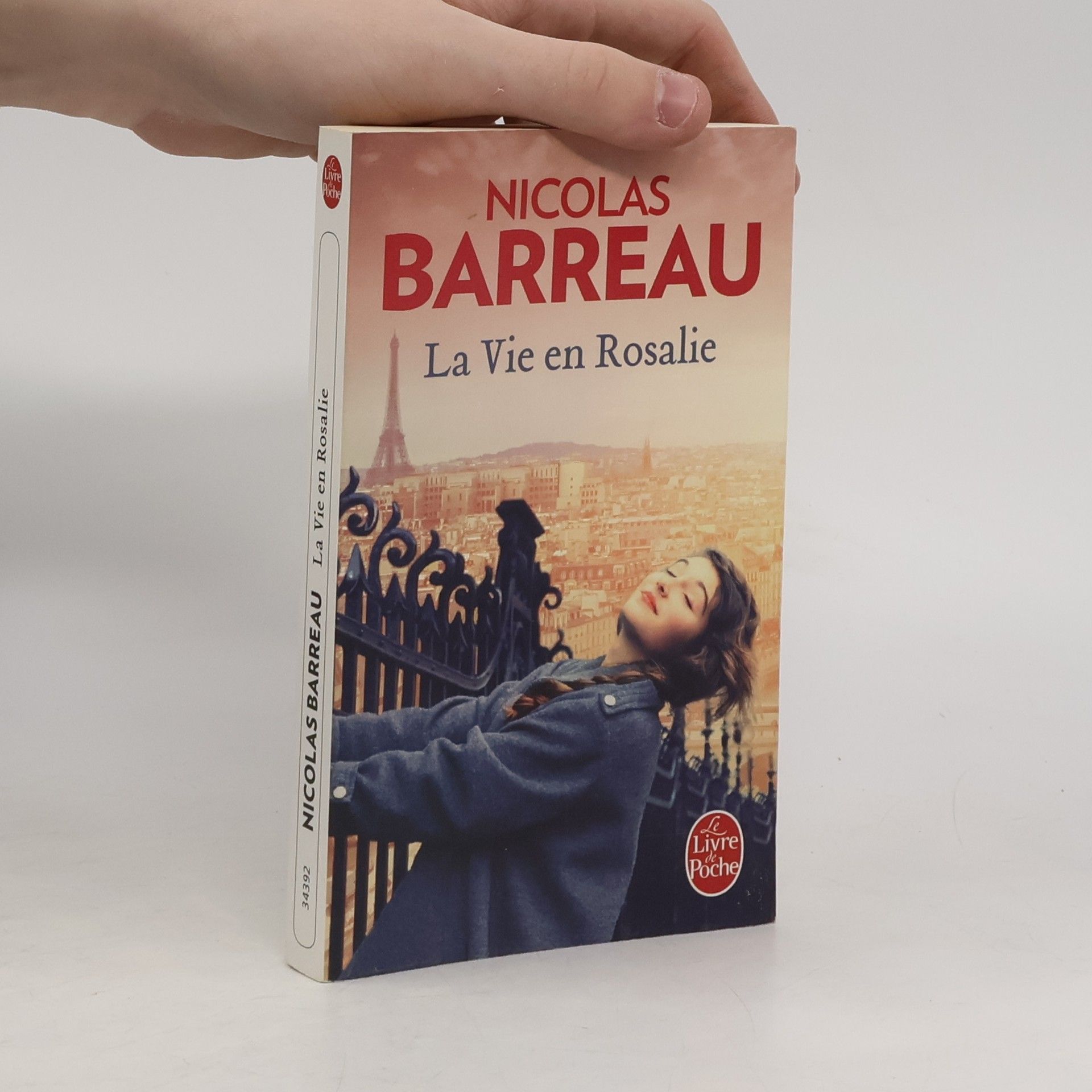 Nicolas Barreau La vie en Rosalie