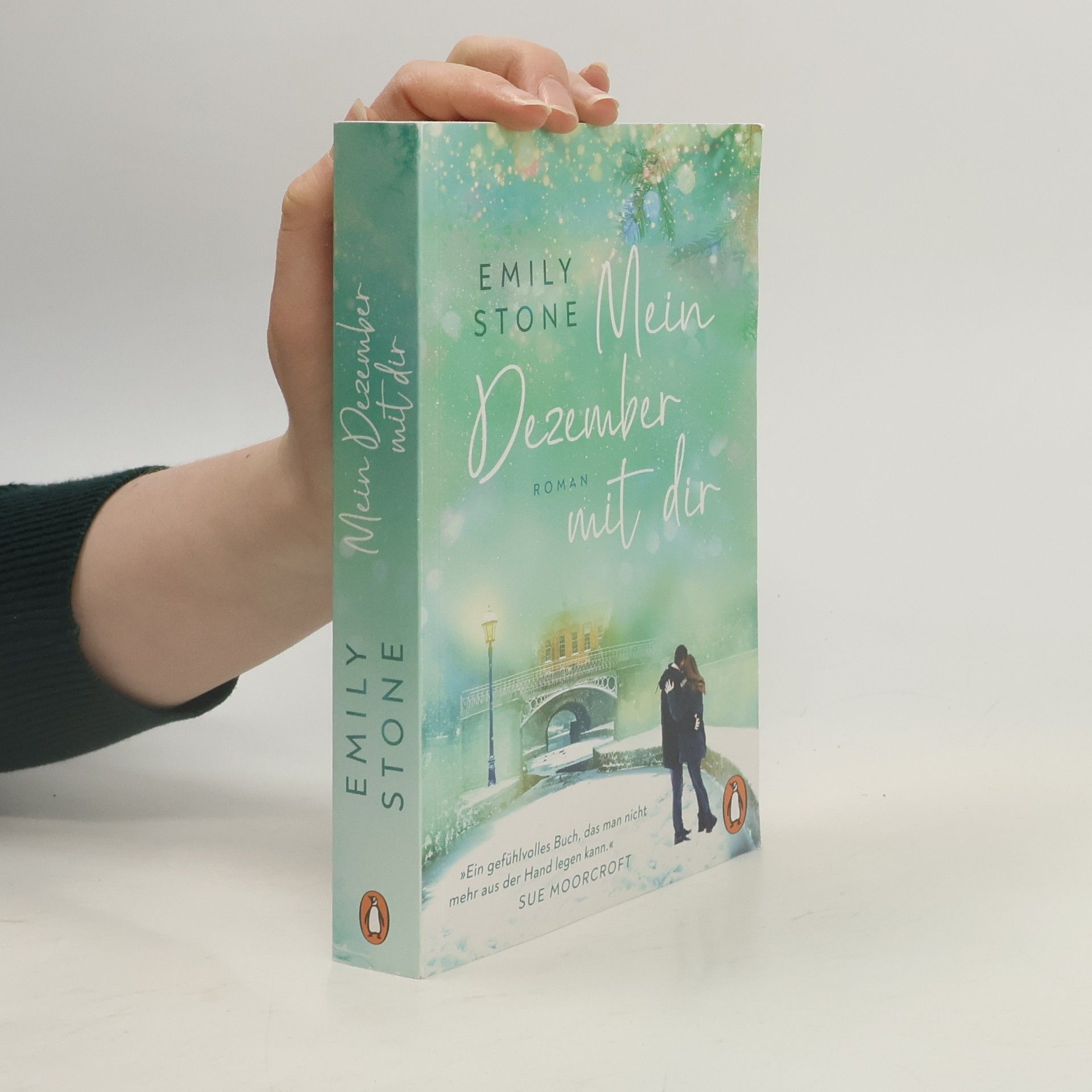 Stone Emily Mein Dezember mit dir