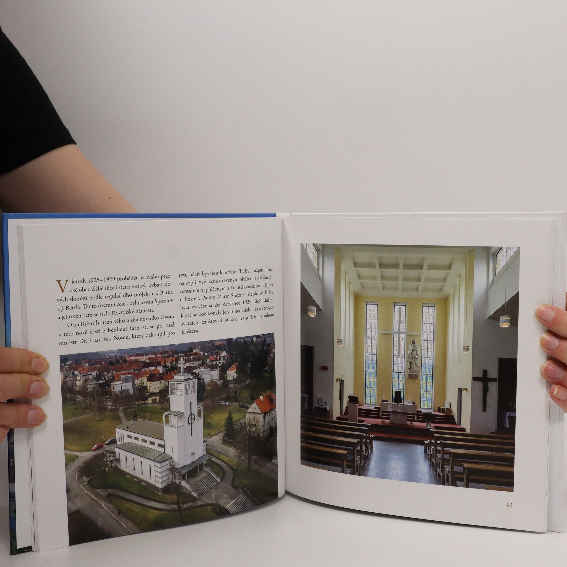 František Reichel Vše má svůj čas... : dvanáct pražských kostelů postavených jako odpověď na stržení Mariánského sloupu