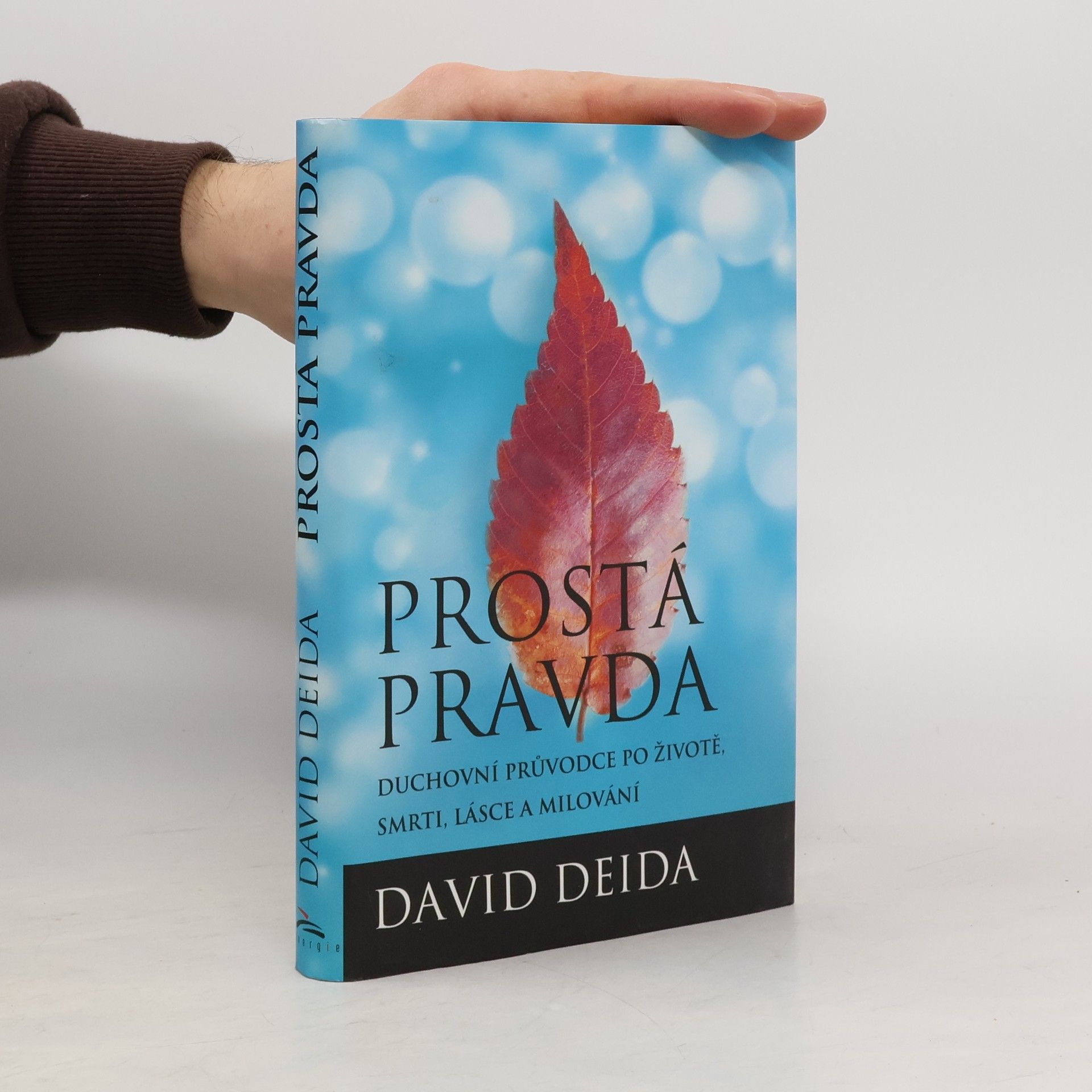 David Deida Prostá pravda